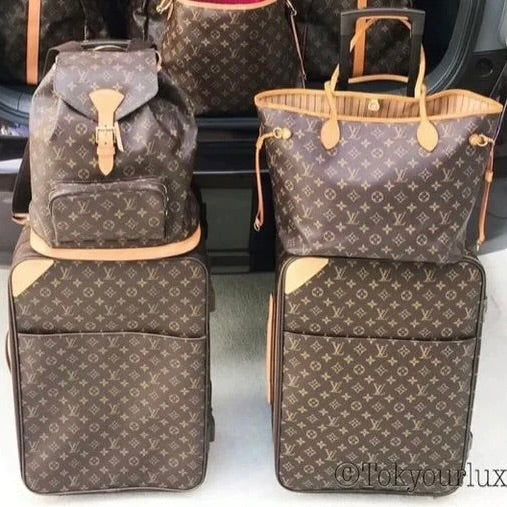 Louis Vuitton Luggage Set  Louis vuitton bag, Bags, Louis vuitton luggage