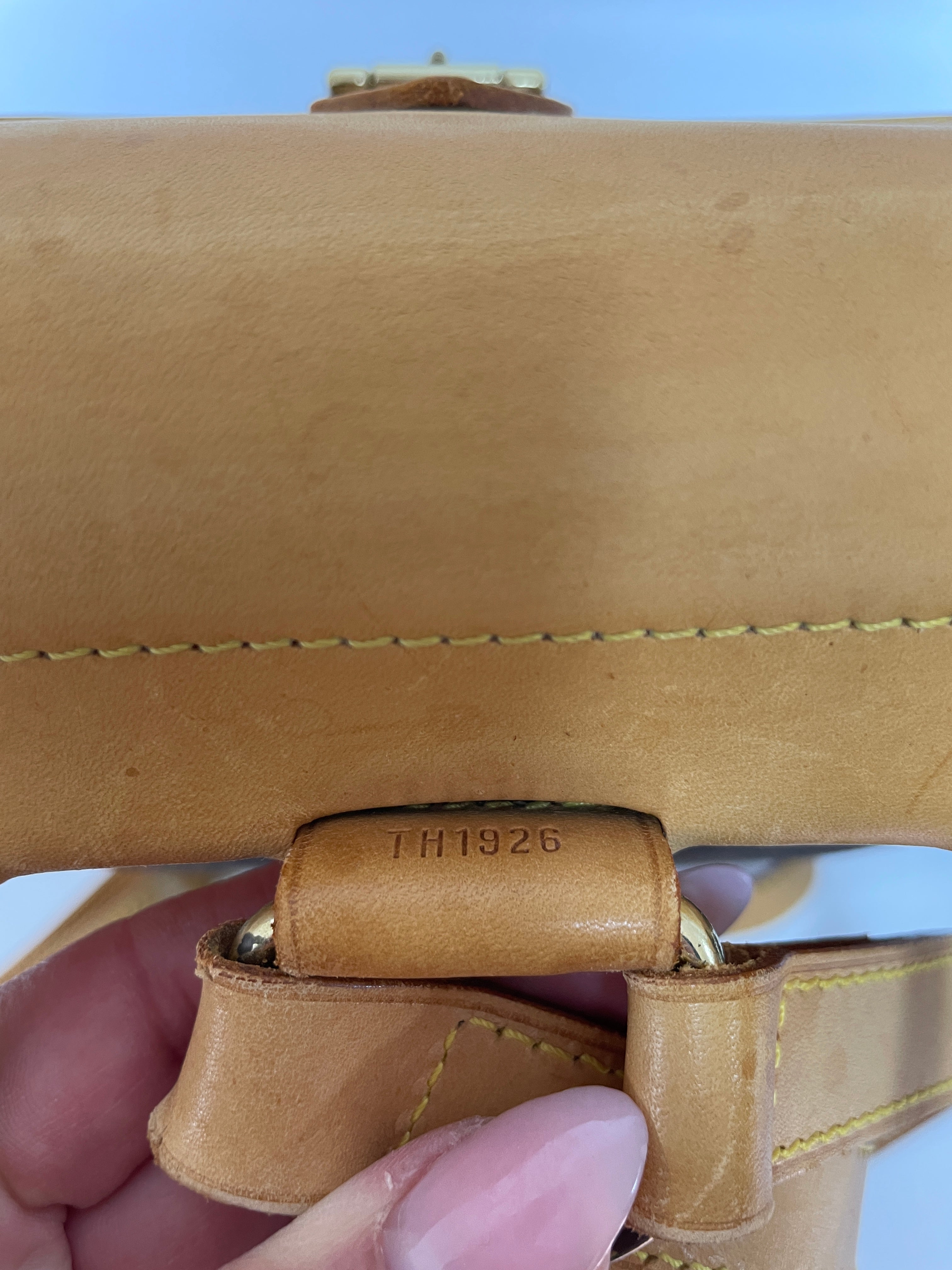 Louis Vuitton Arlequin Centenaire Backpack Used