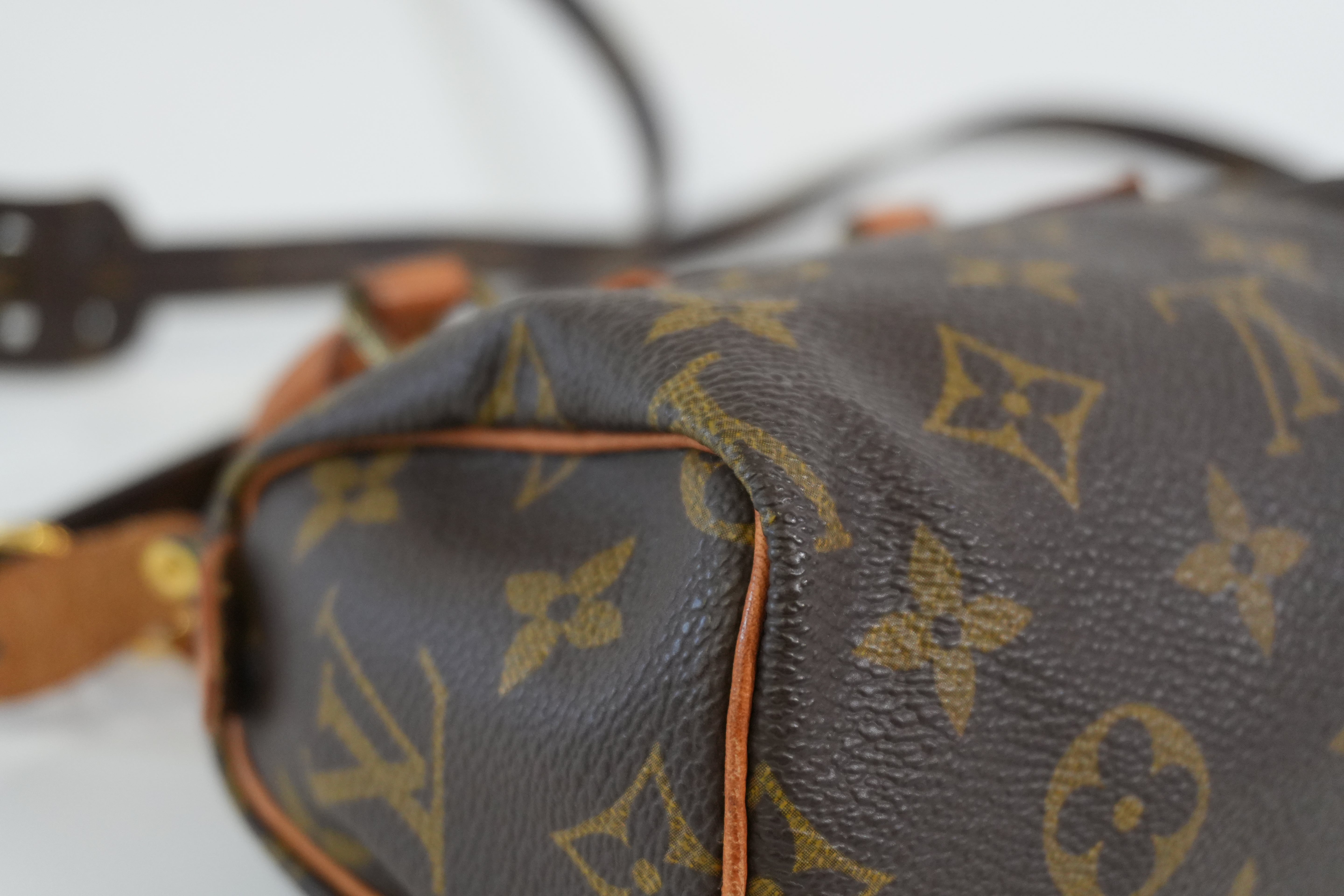 Pre-owned Louis Vuitton Monogram Mini Speedy Handbag