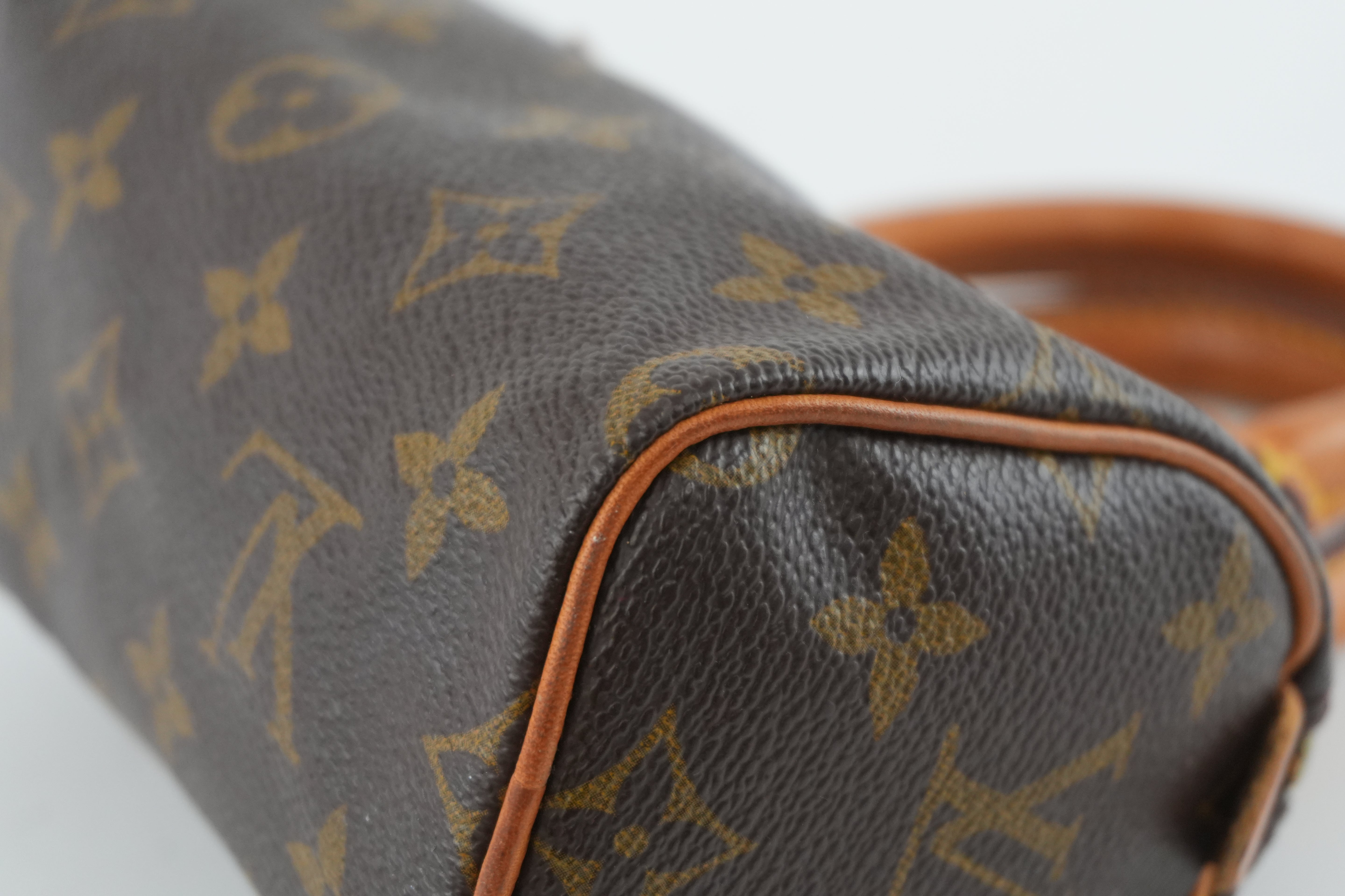 Pre-owned Louis Vuitton Monogram Mini Speedy Handbag