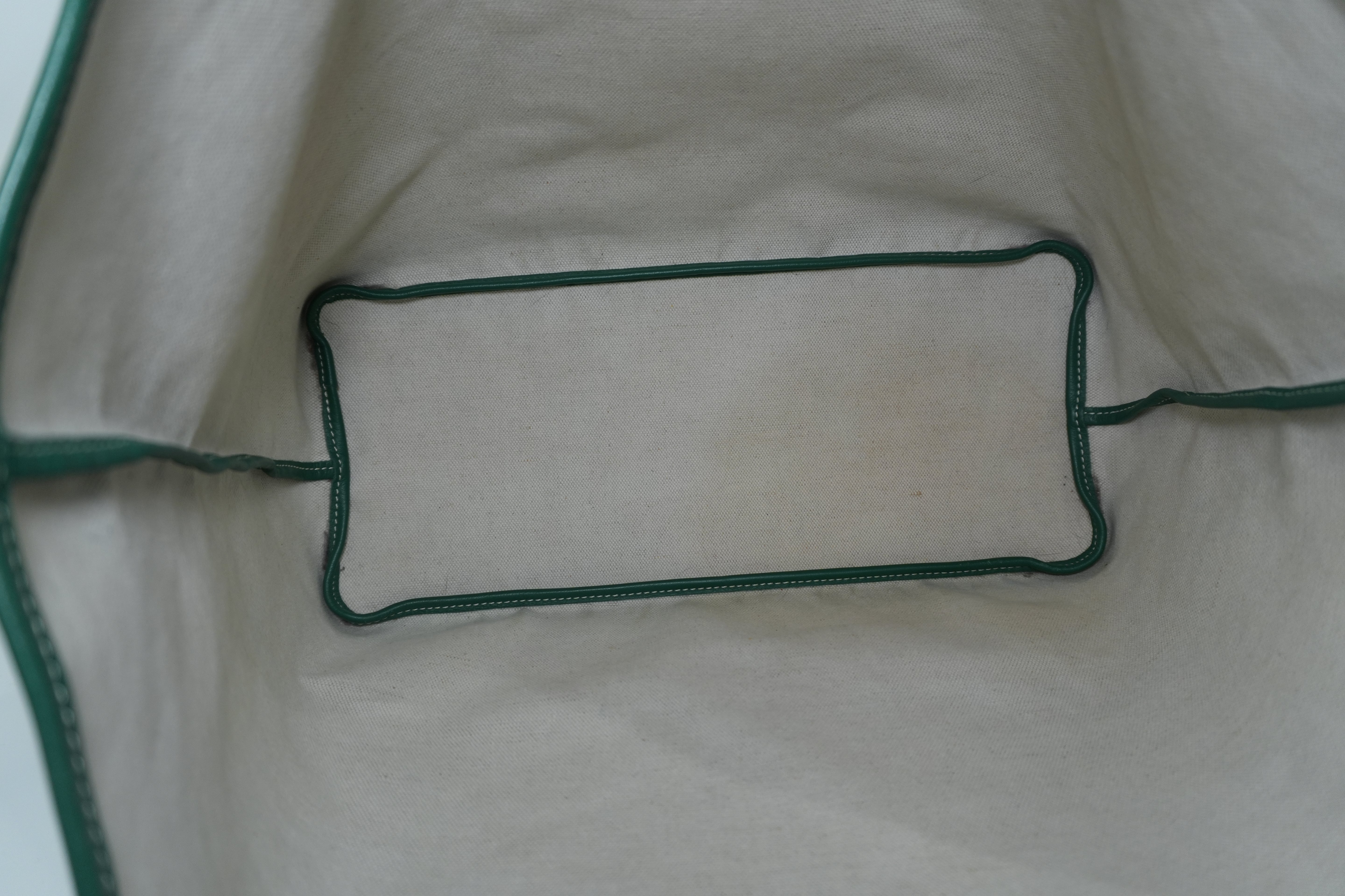 Goyard Saint Louis PM Green Used