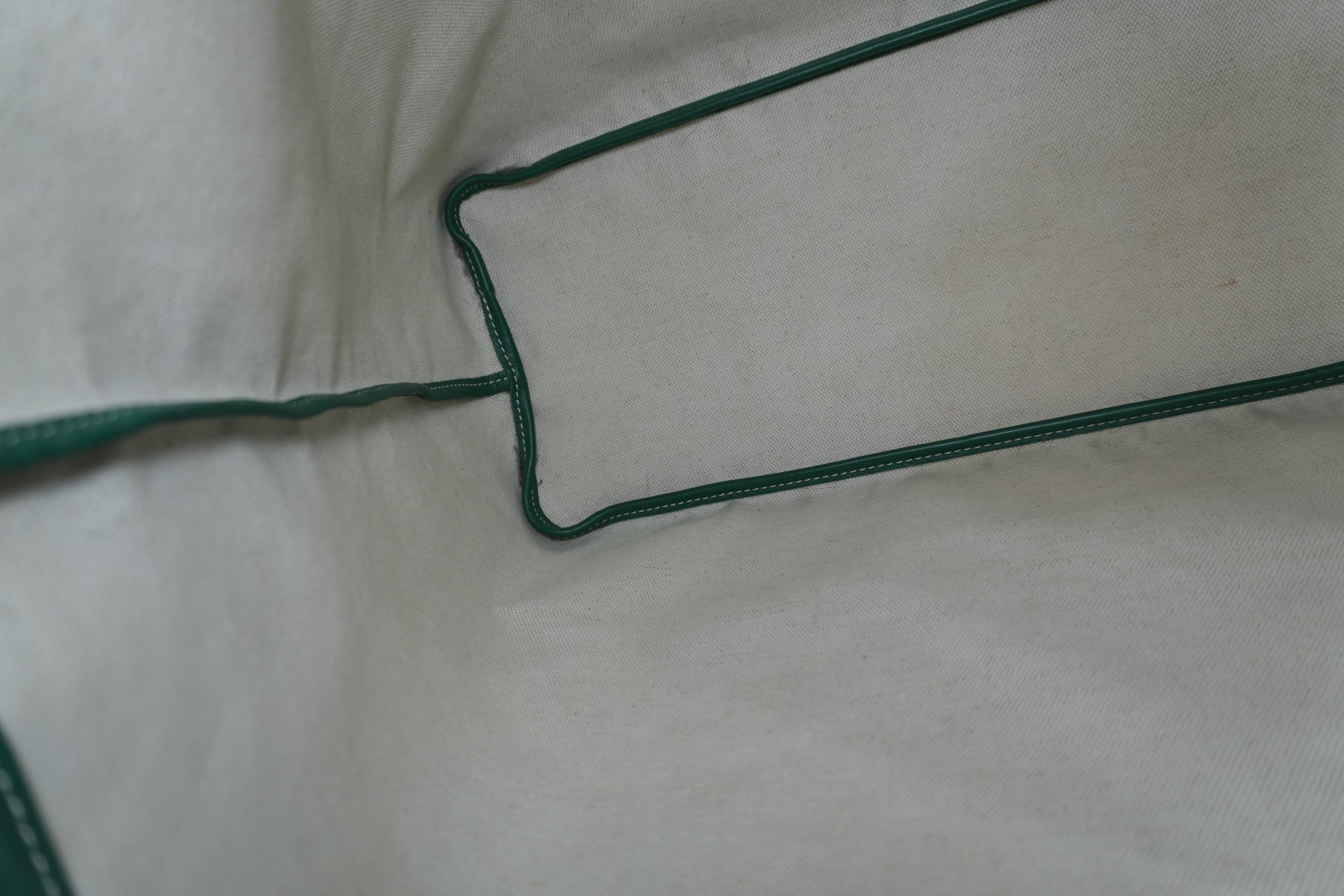 Goyard Saint Louis PM Green Used