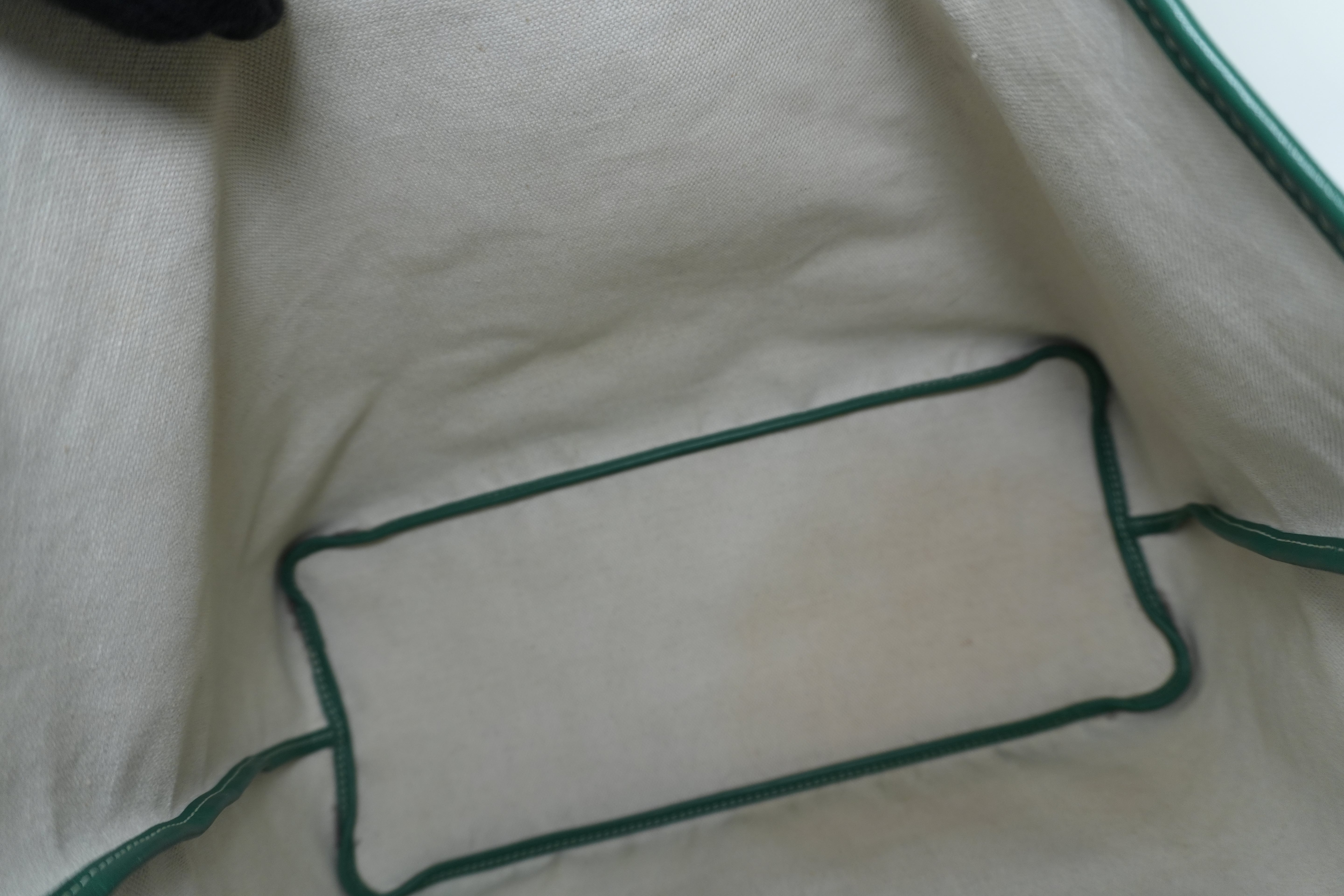 Goyard Saint Louis PM Green Used