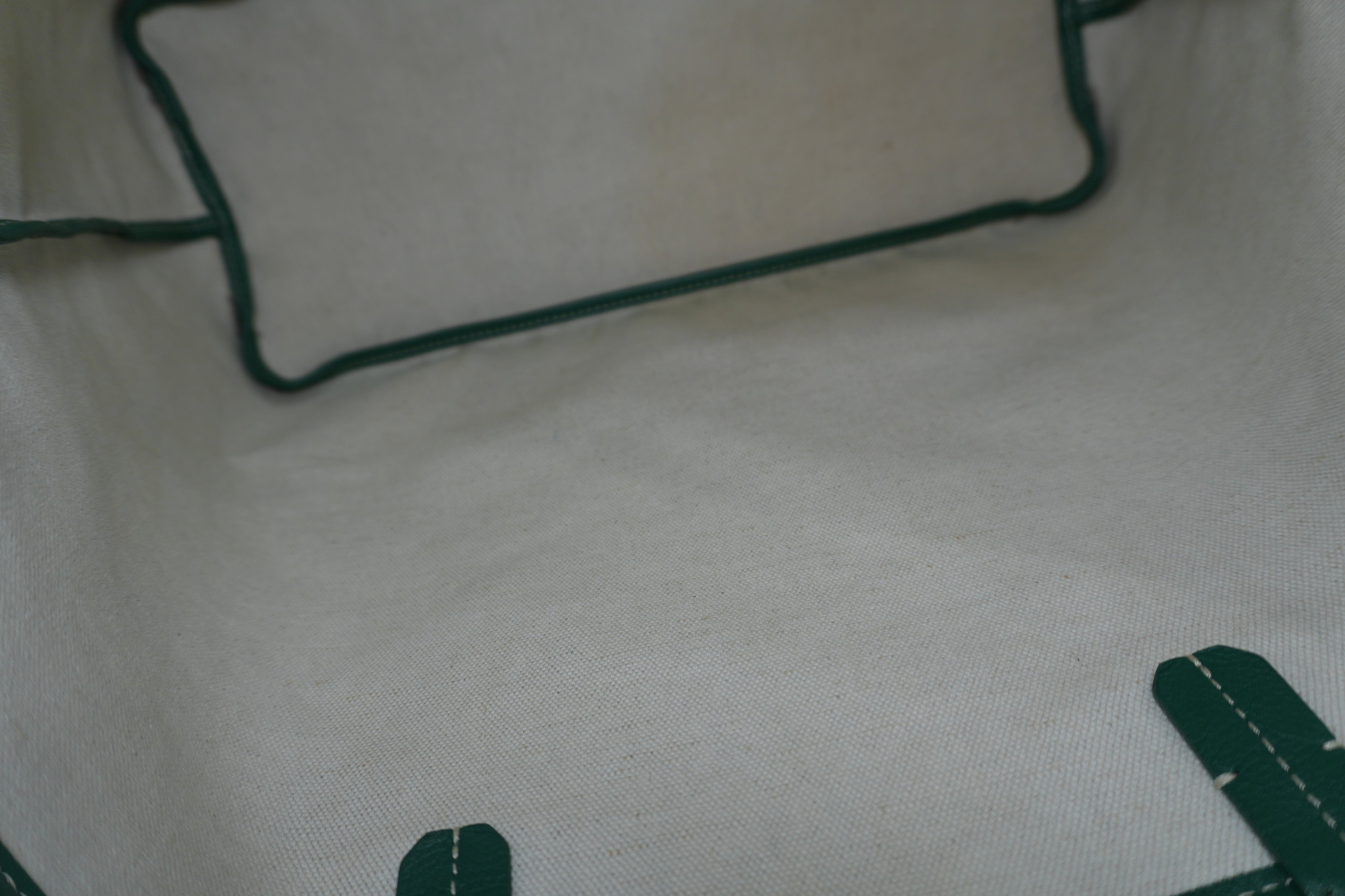 Goyard Saint Louis PM Green Used