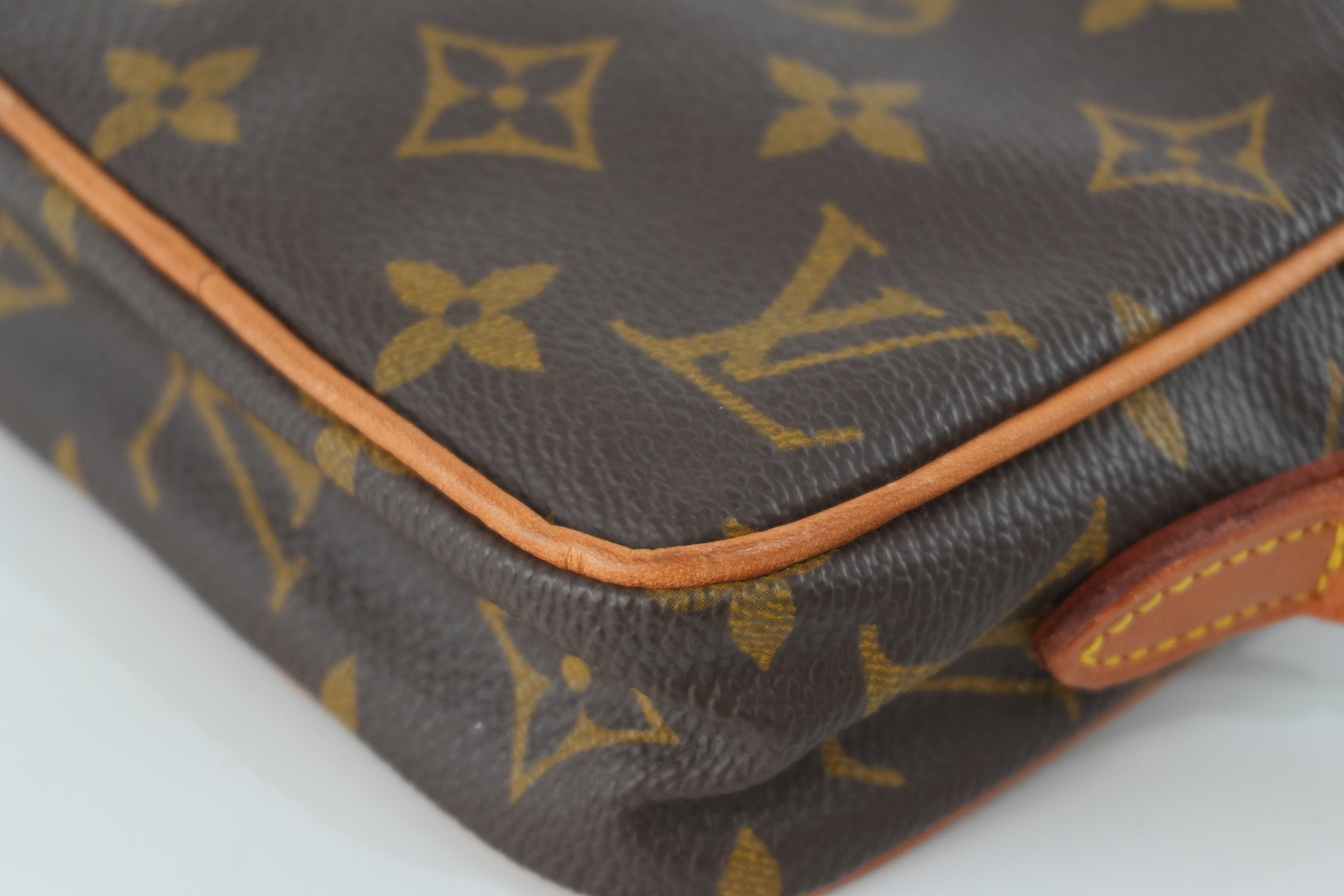 Louis Vuitton Monogram Mini Danube Shoulder Bag Used