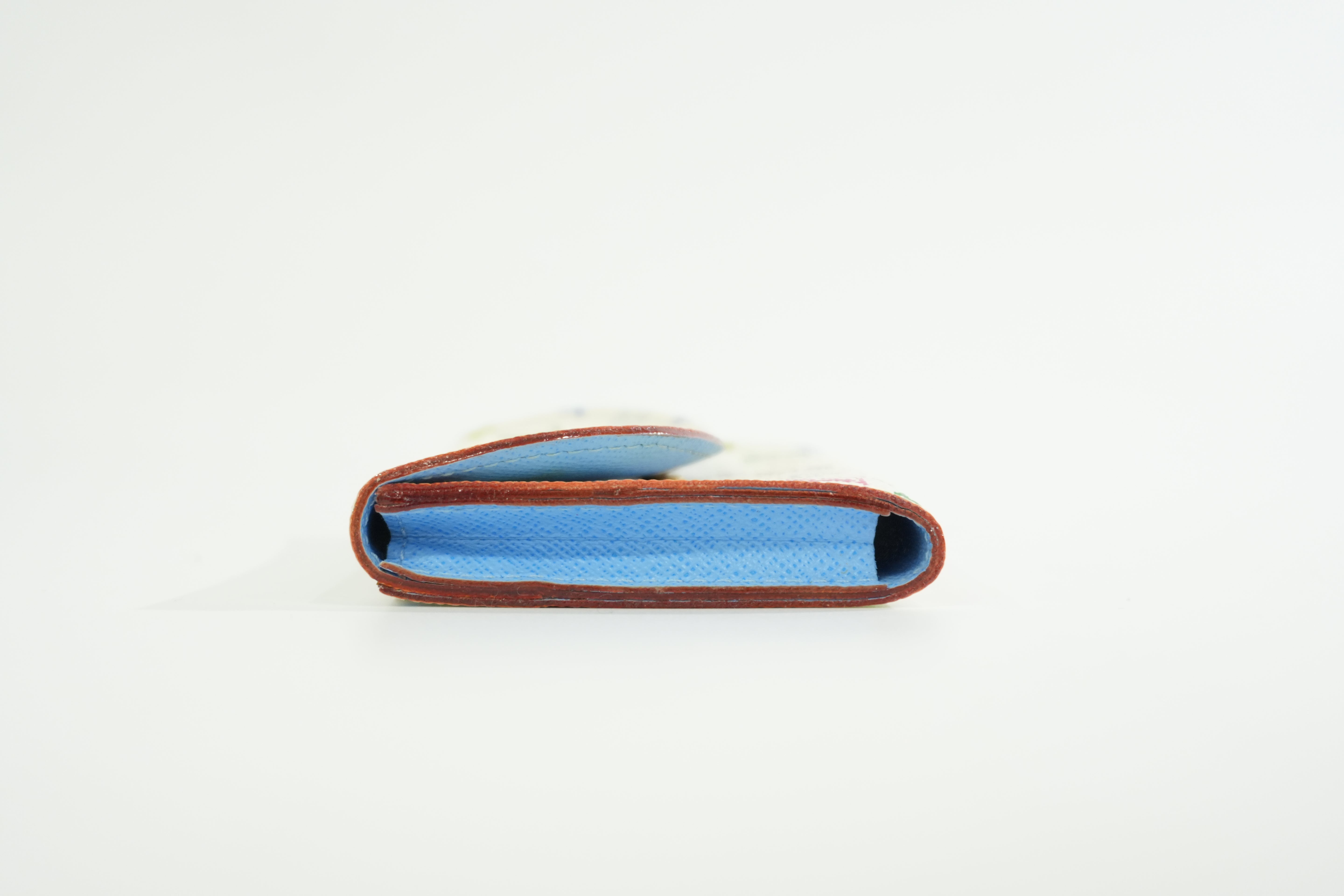 Louis Vuitton Multicolor Card Holder Used