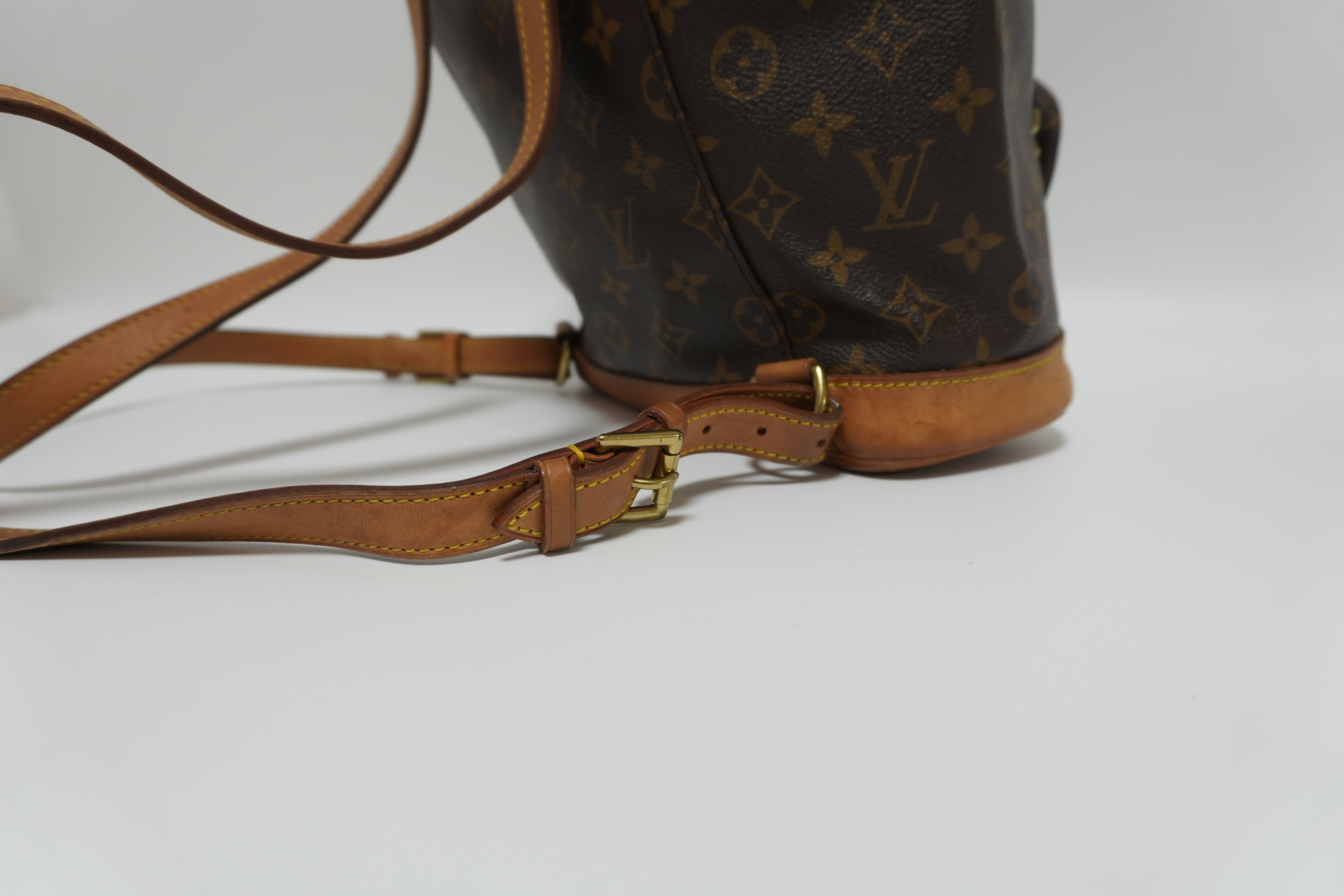 Louis Vuitton Montsouris MM Backpack Used