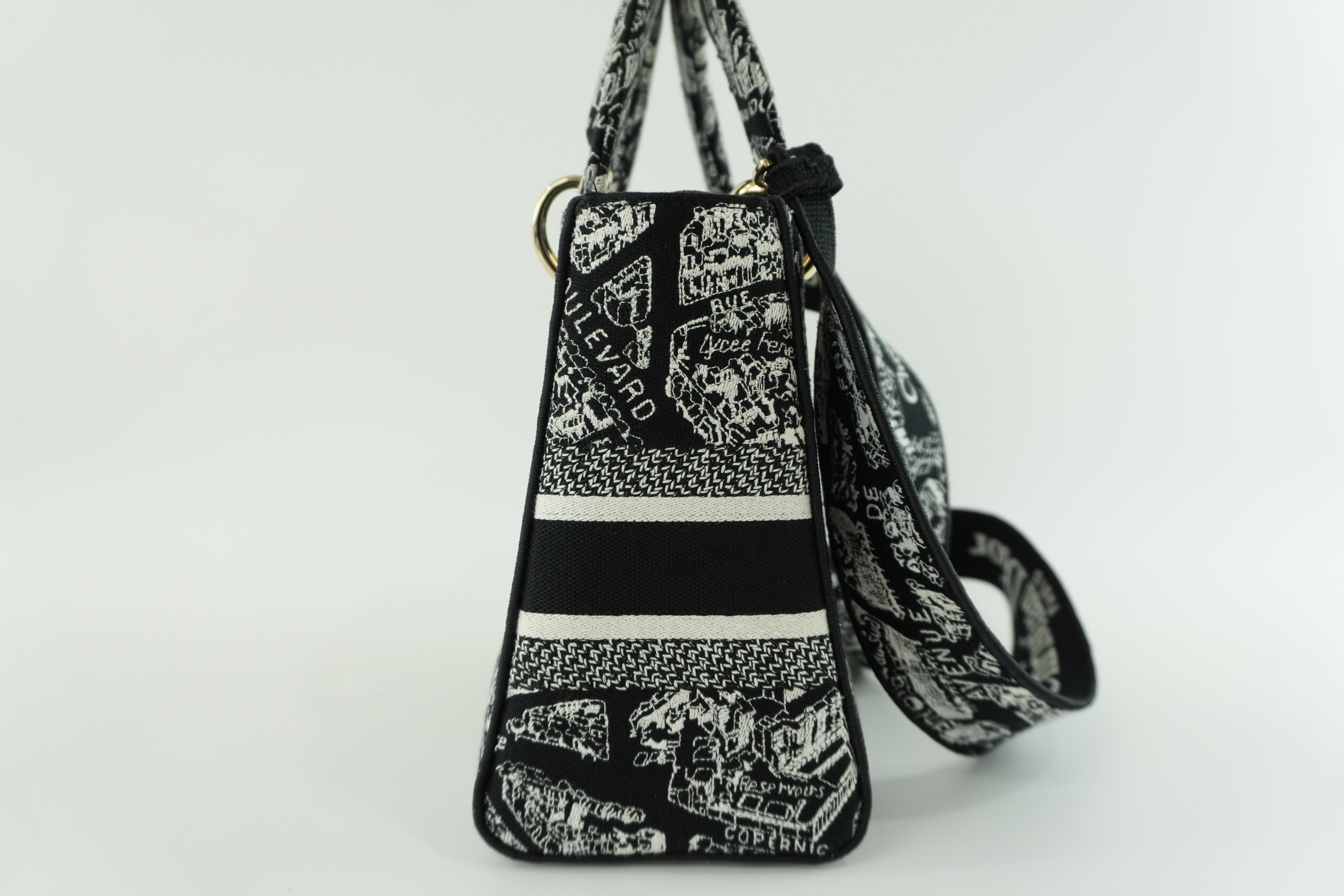 Christian Dior Lady D-Lite Shoulder Strap Used
