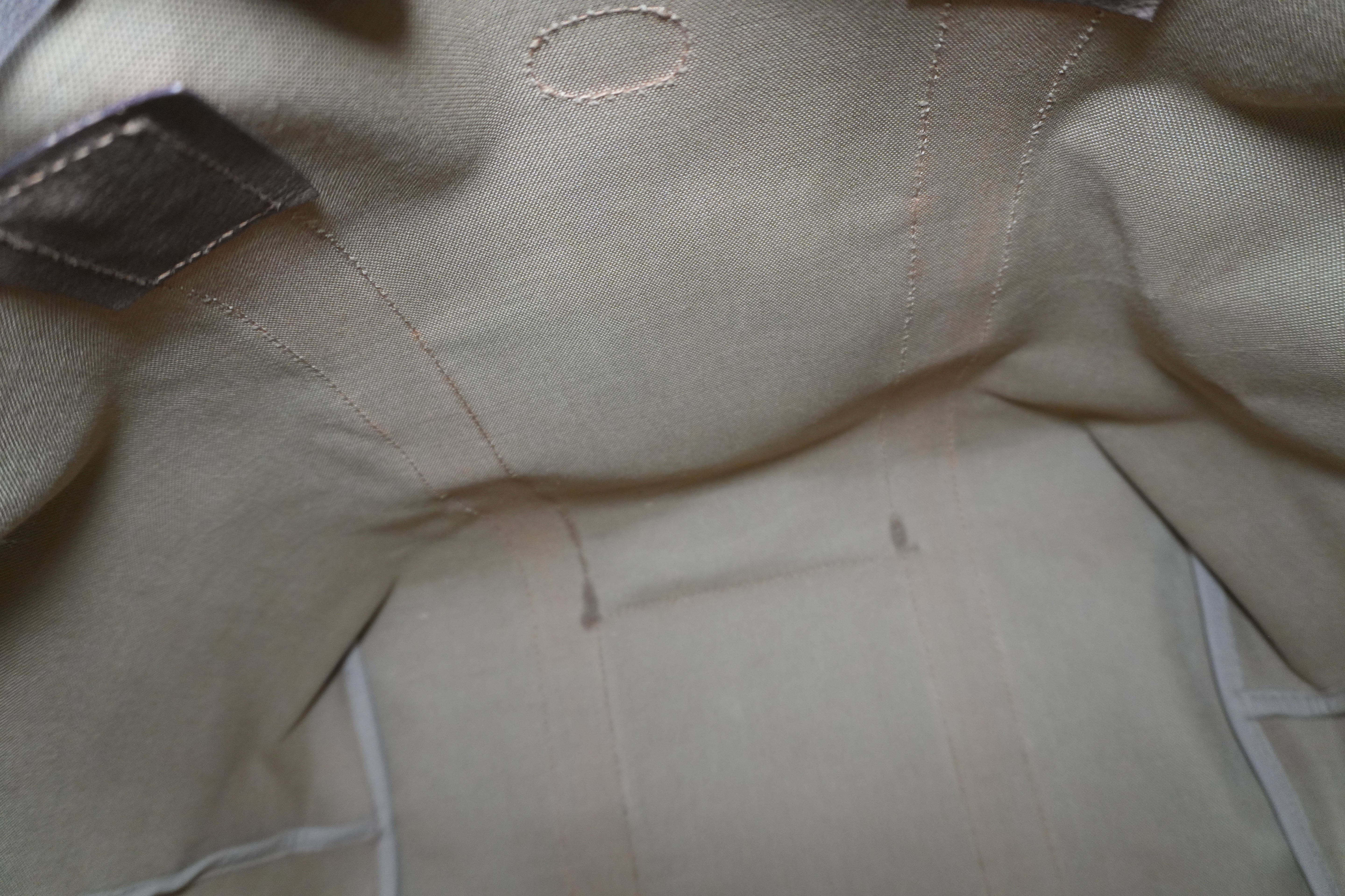 Pre-owned Gucci Guccisima Travel Tote Bag Brown