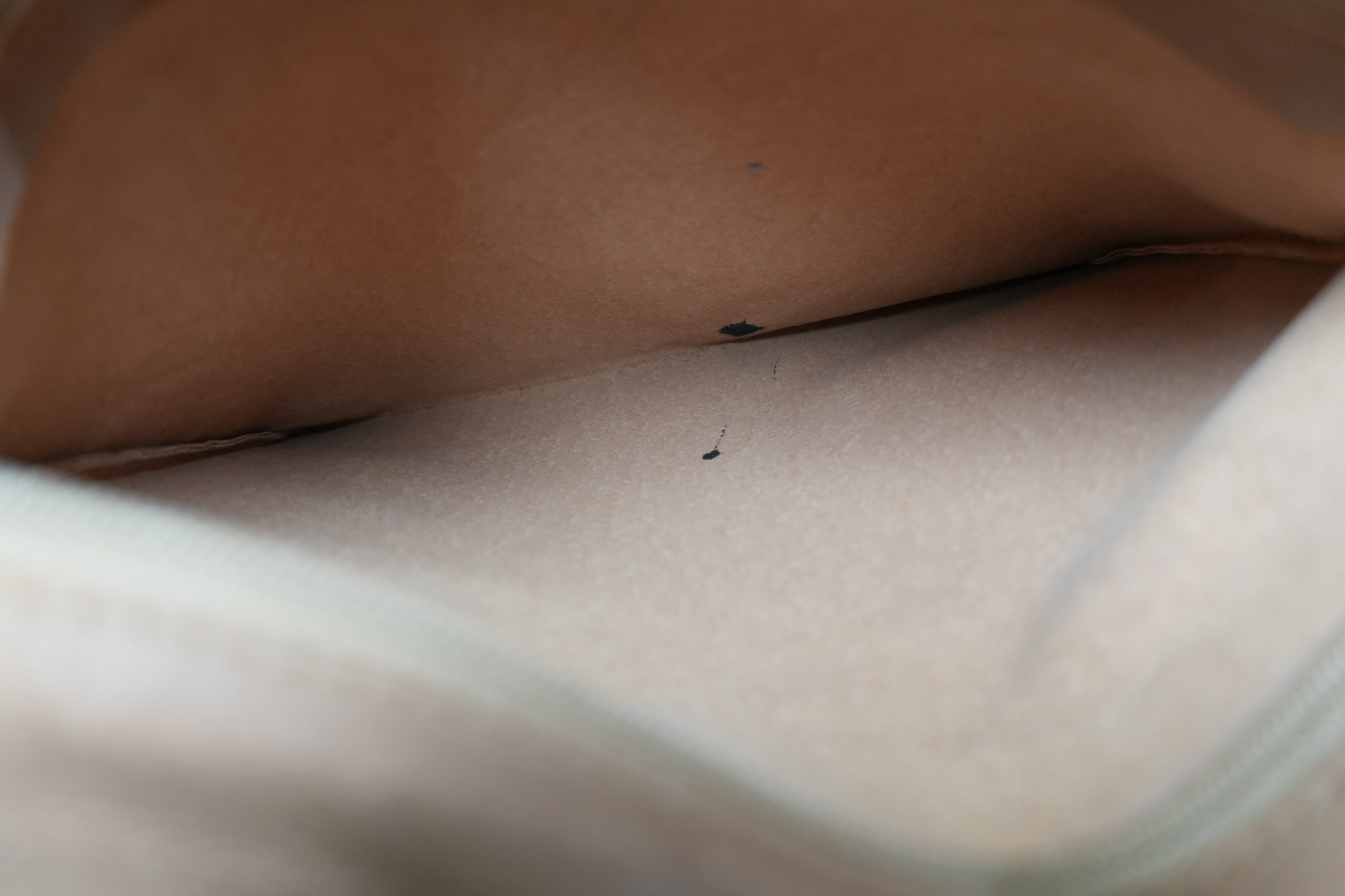 Pre-owned Gucci Guccisima Travel Tote Bag Brown