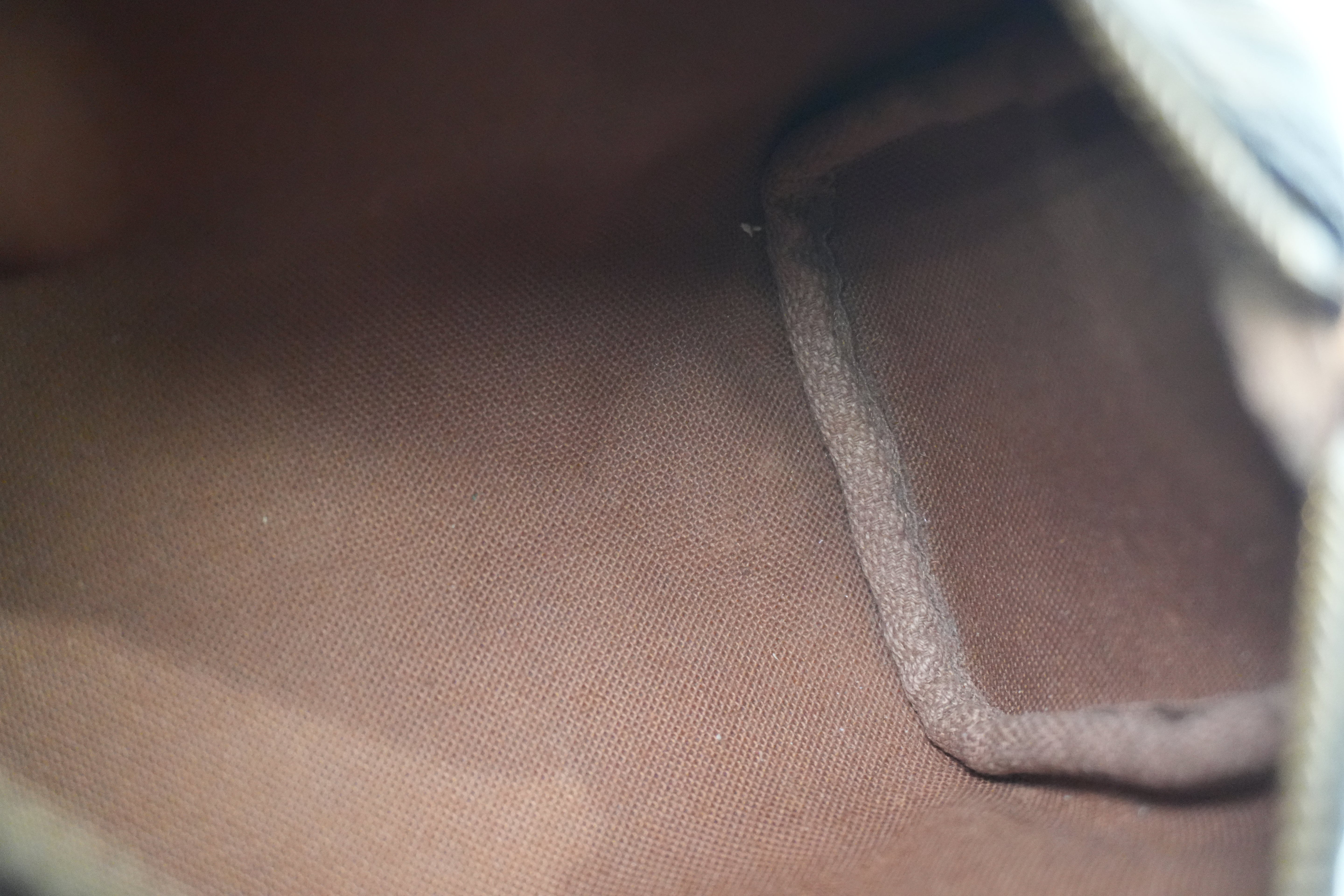 Louis Vuitton Monogram Mini Speedy Used
