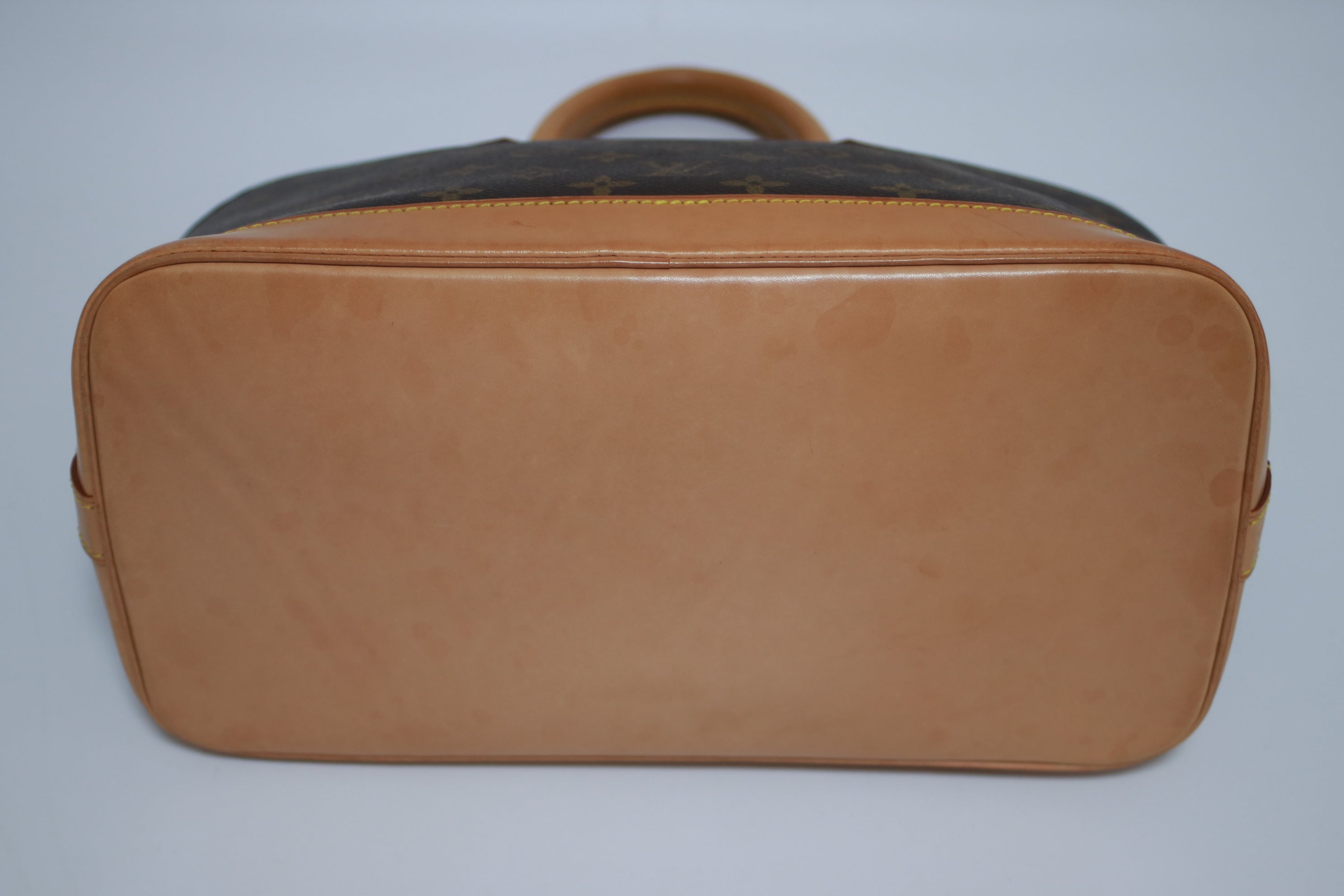 Louis Vuitton Alma PM Monogram Used