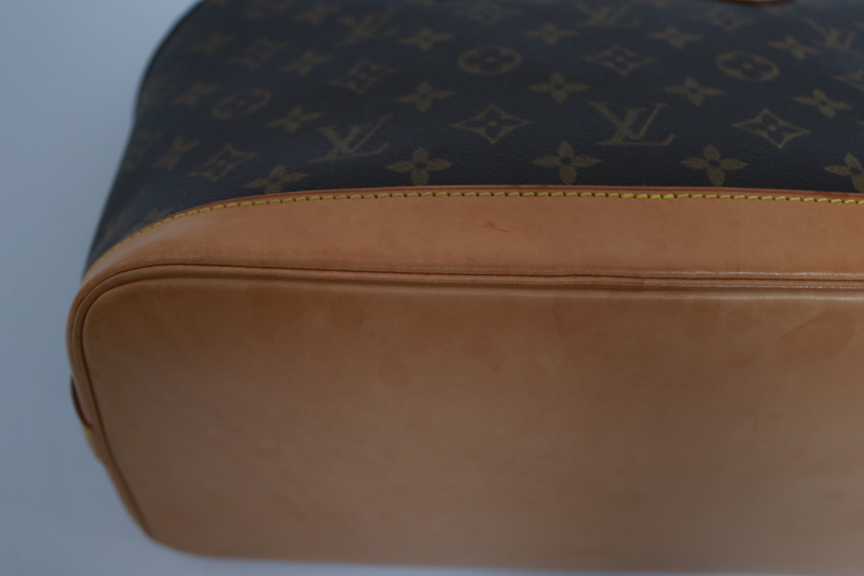 Louis Vuitton Alma PM Monogram Used
