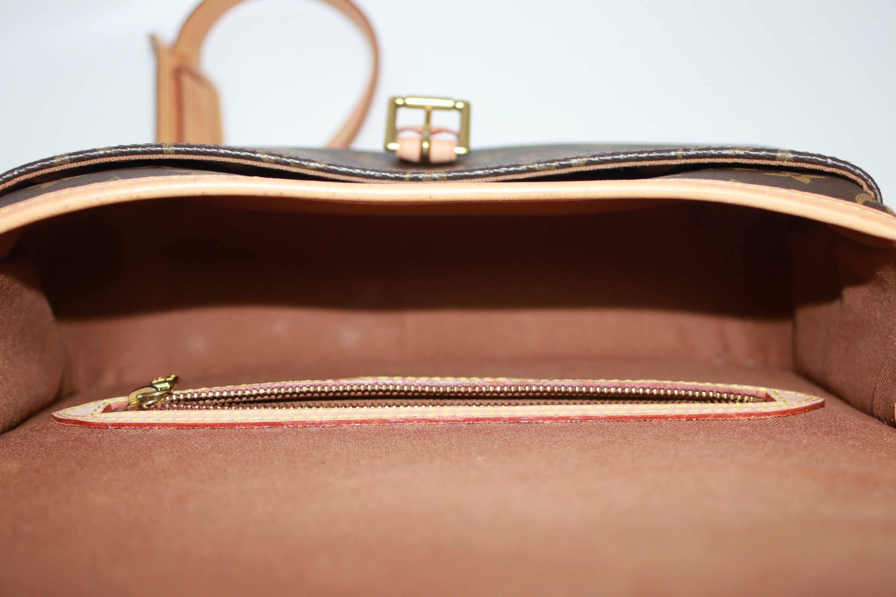 Louis Vuitton Sologne Shoulder Bag