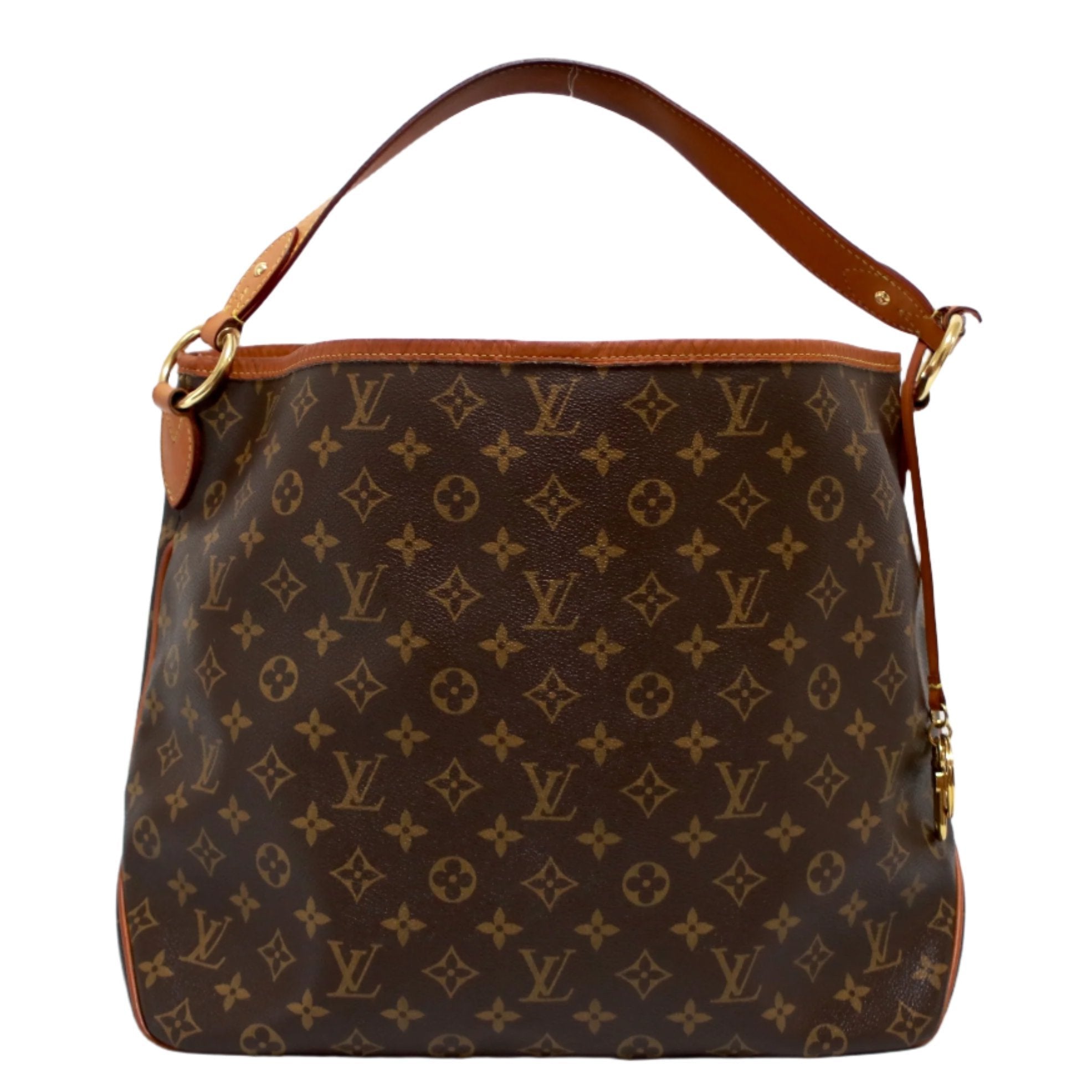 Louis Vuitton Delightful MM Hobo Bag Used