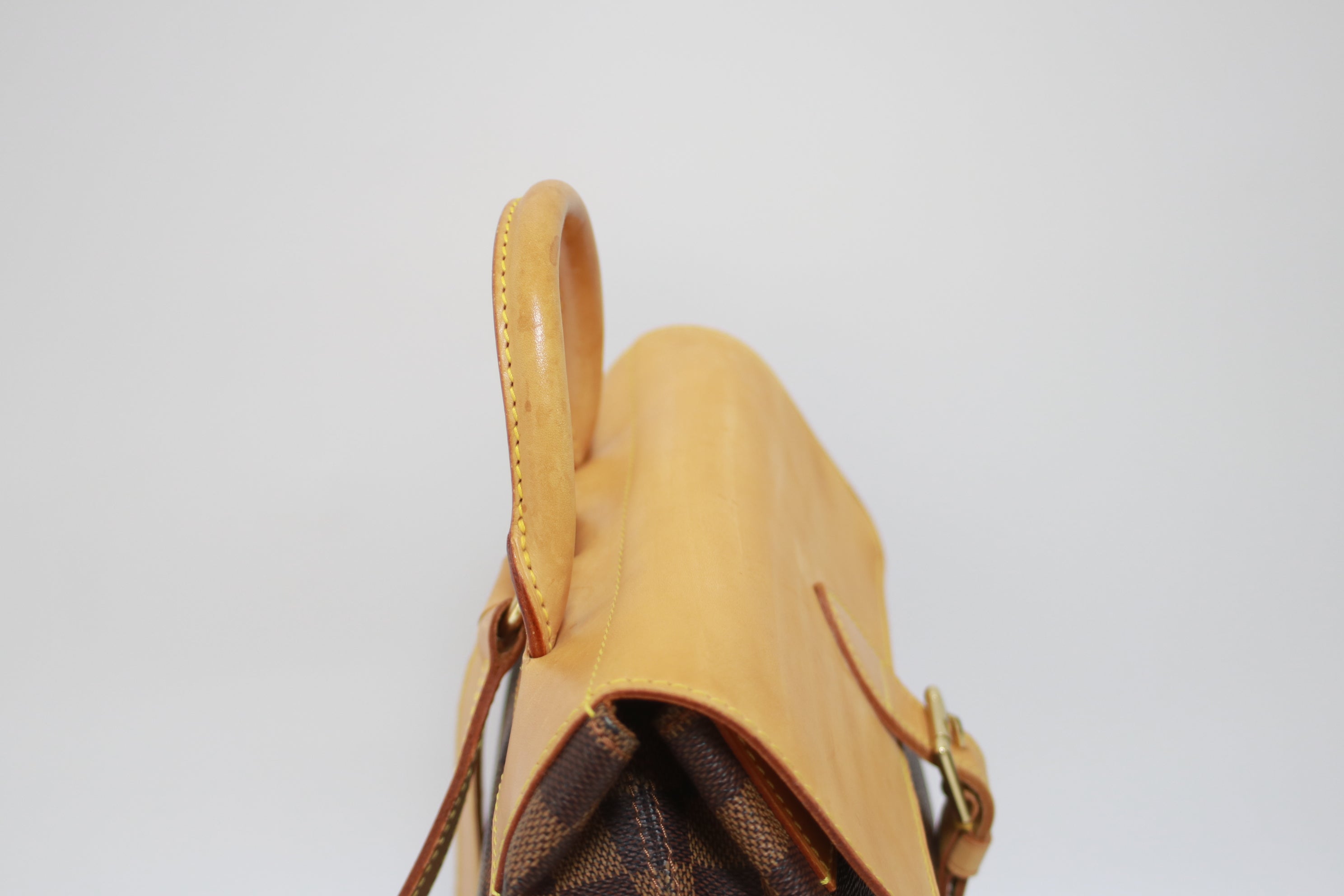 Louis Vuitton Arlequin Centenaire Backpack Used