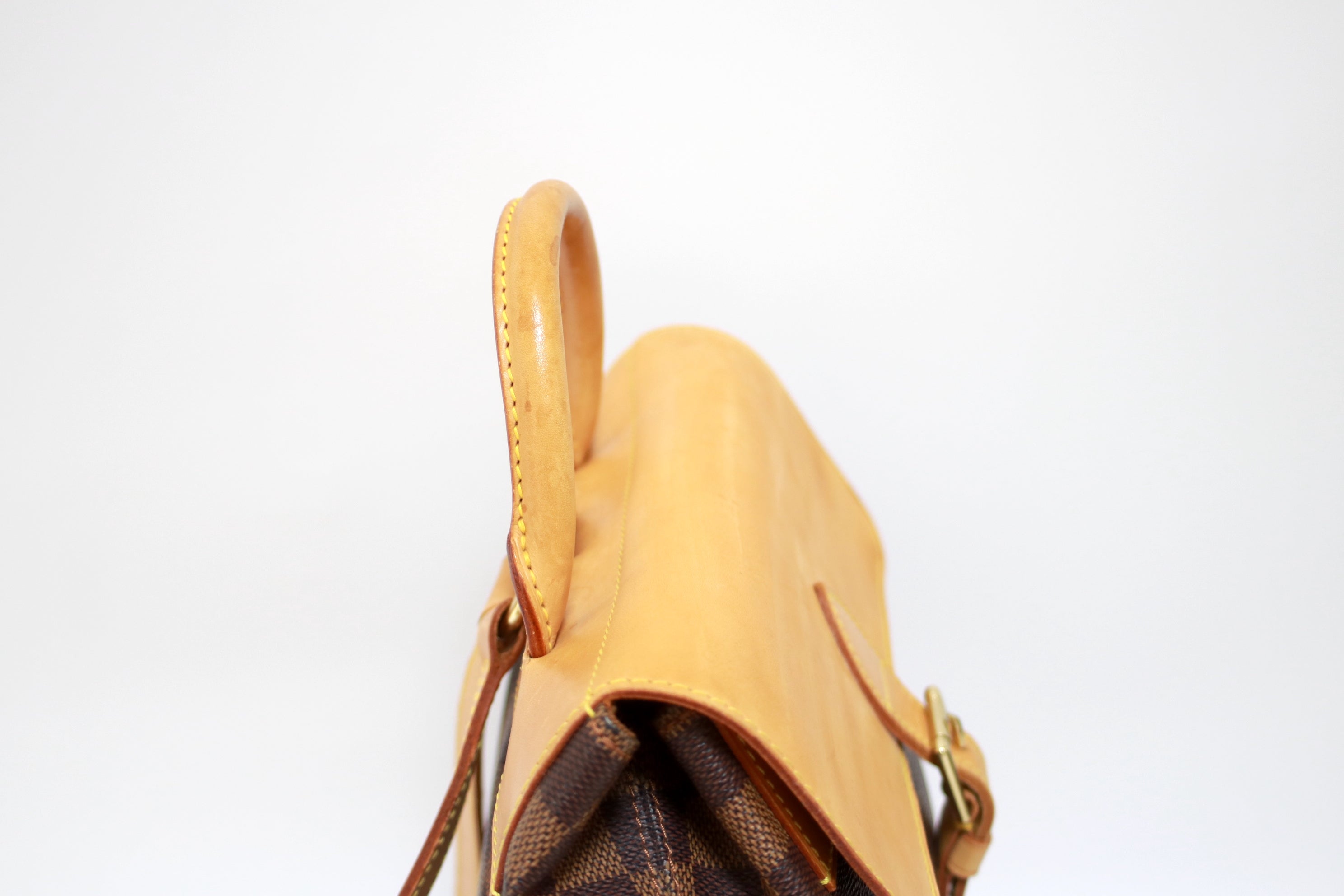 Louis Vuitton Arlequin Centenaire Backpack Used