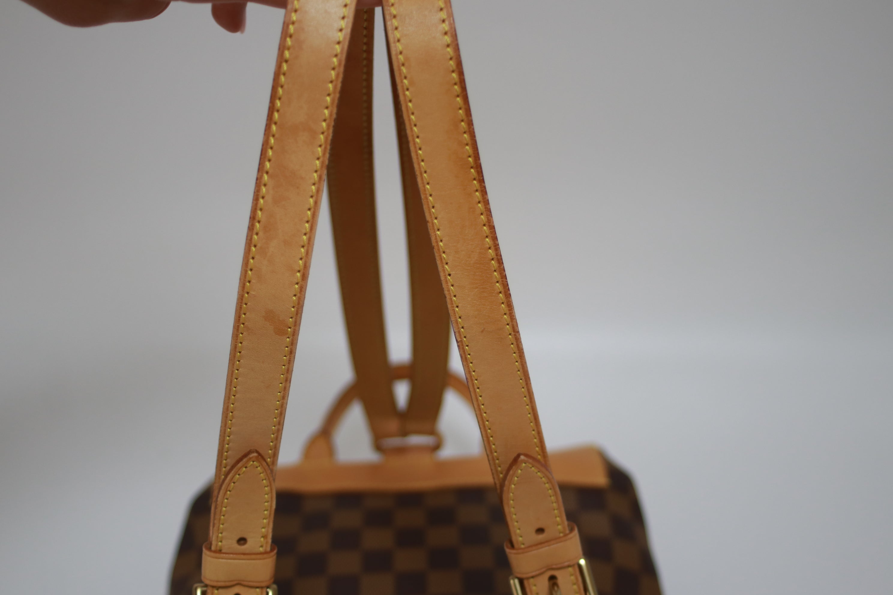 Louis Vuitton Arlequin Centenaire Backpack Used