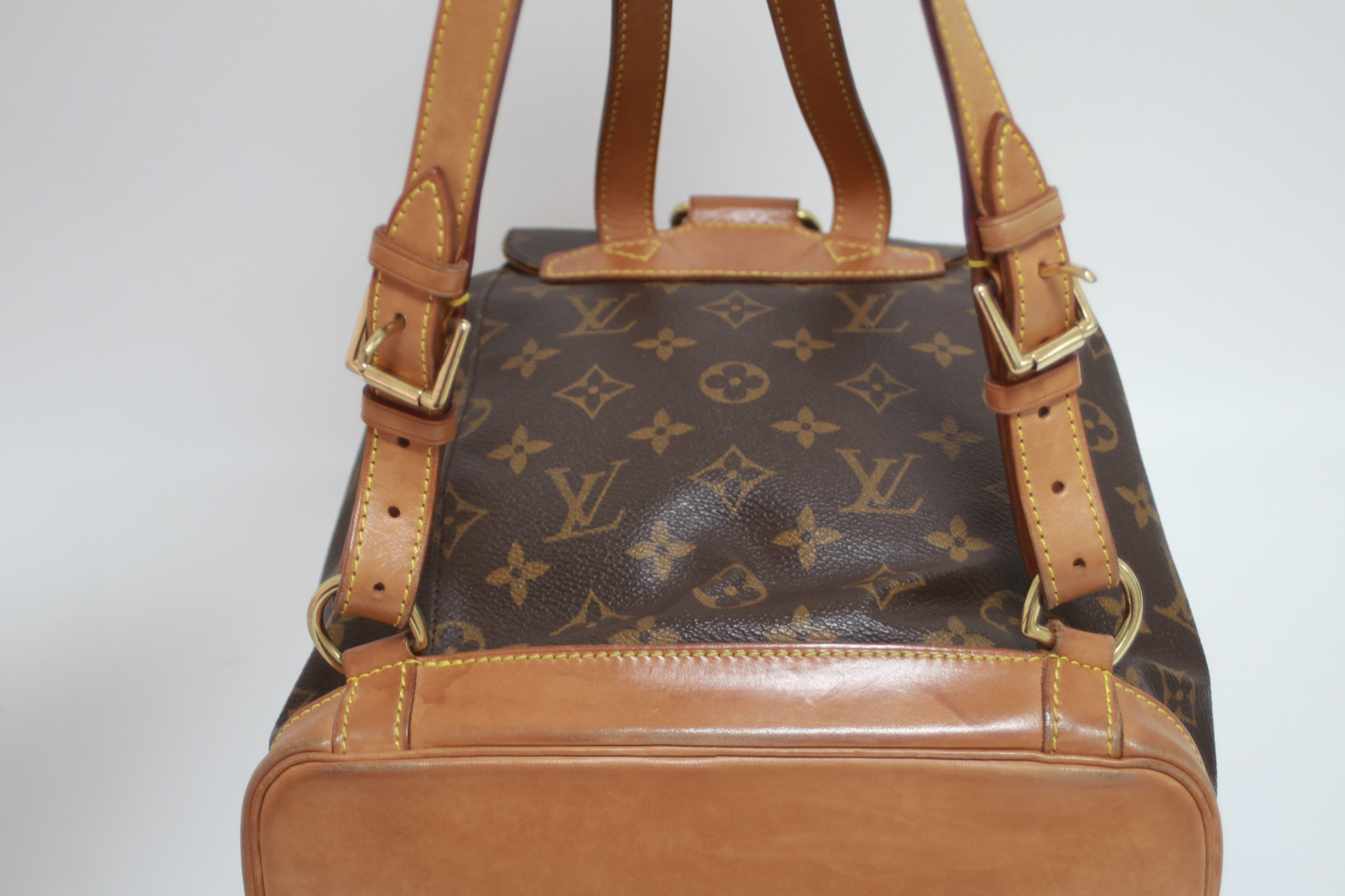 Louis Vuitton Montsouris MM Backpack Used