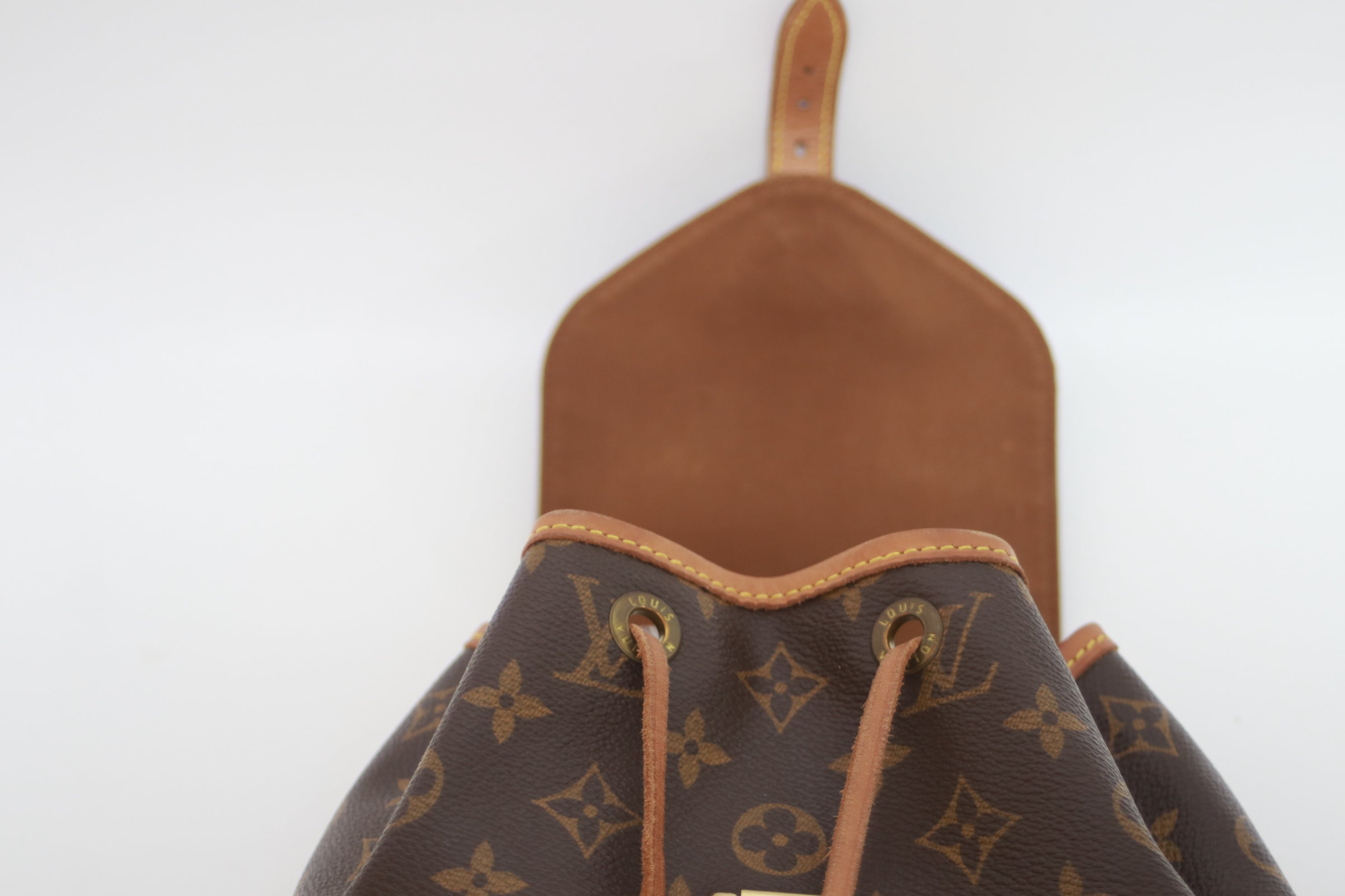 Louis Vuitton Montsouris MM Backpack Used