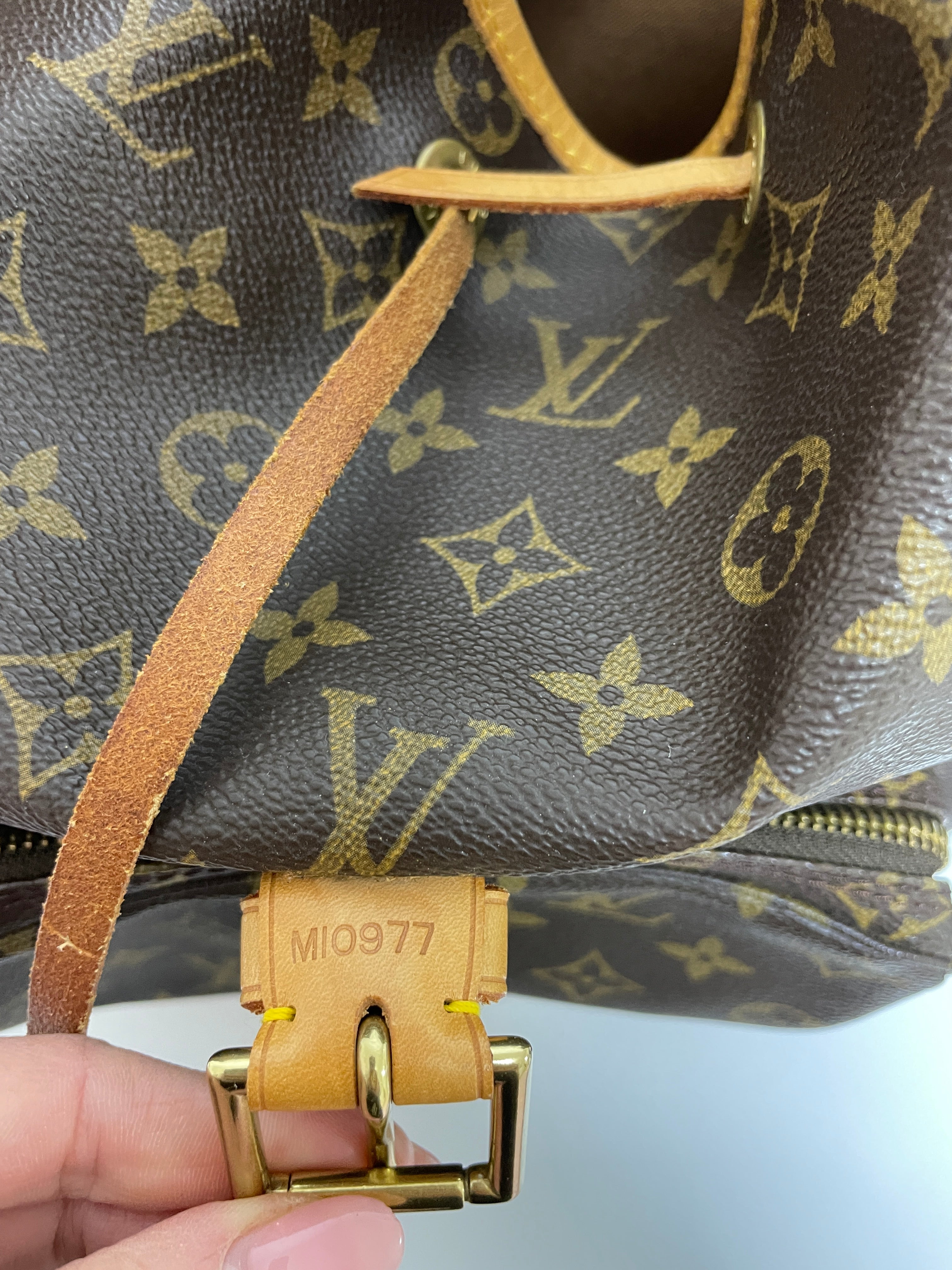 Louis Vuitton Montsouris GM Backpack Used