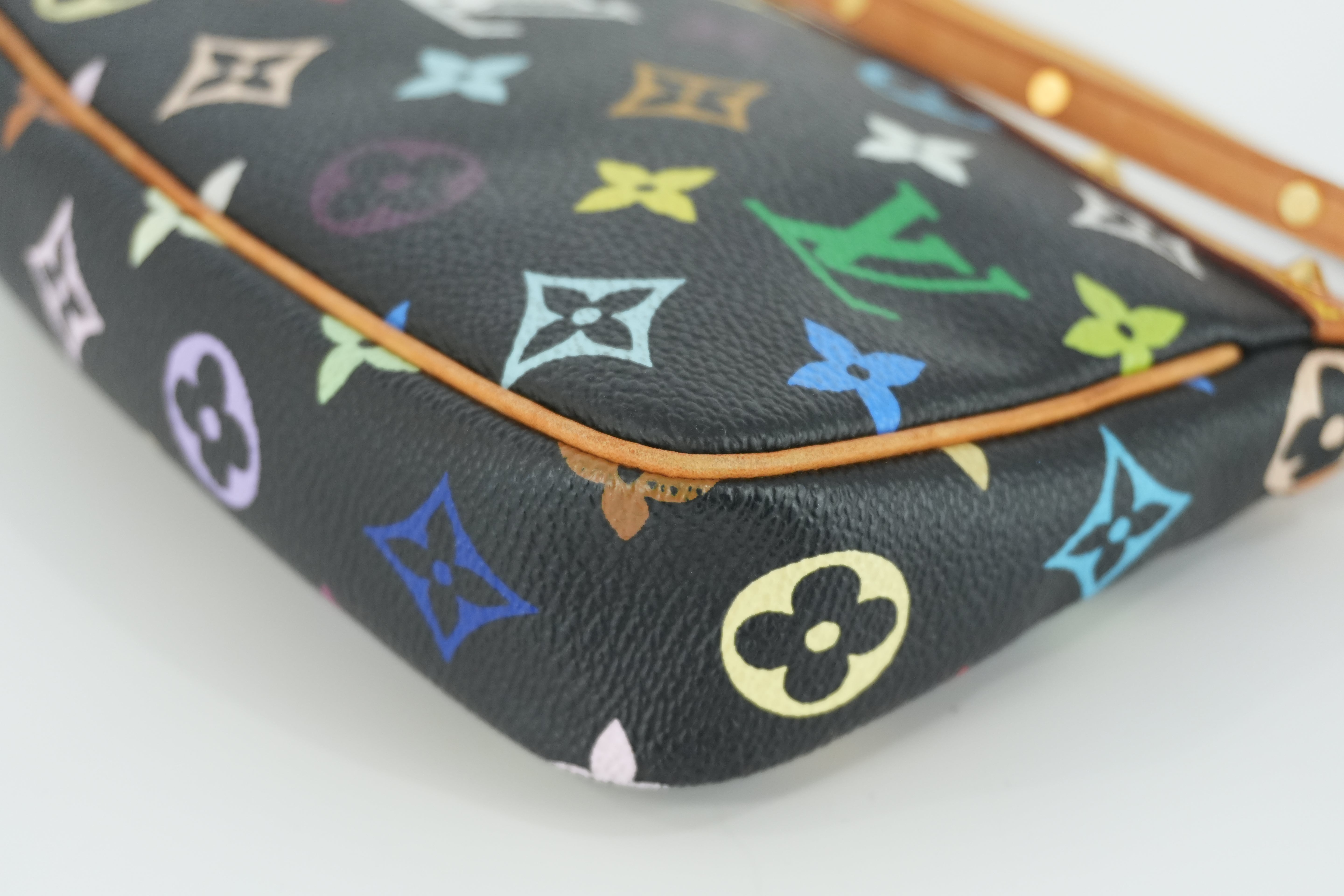 Louis Vuitton Multicolor Pochette Accessories Used