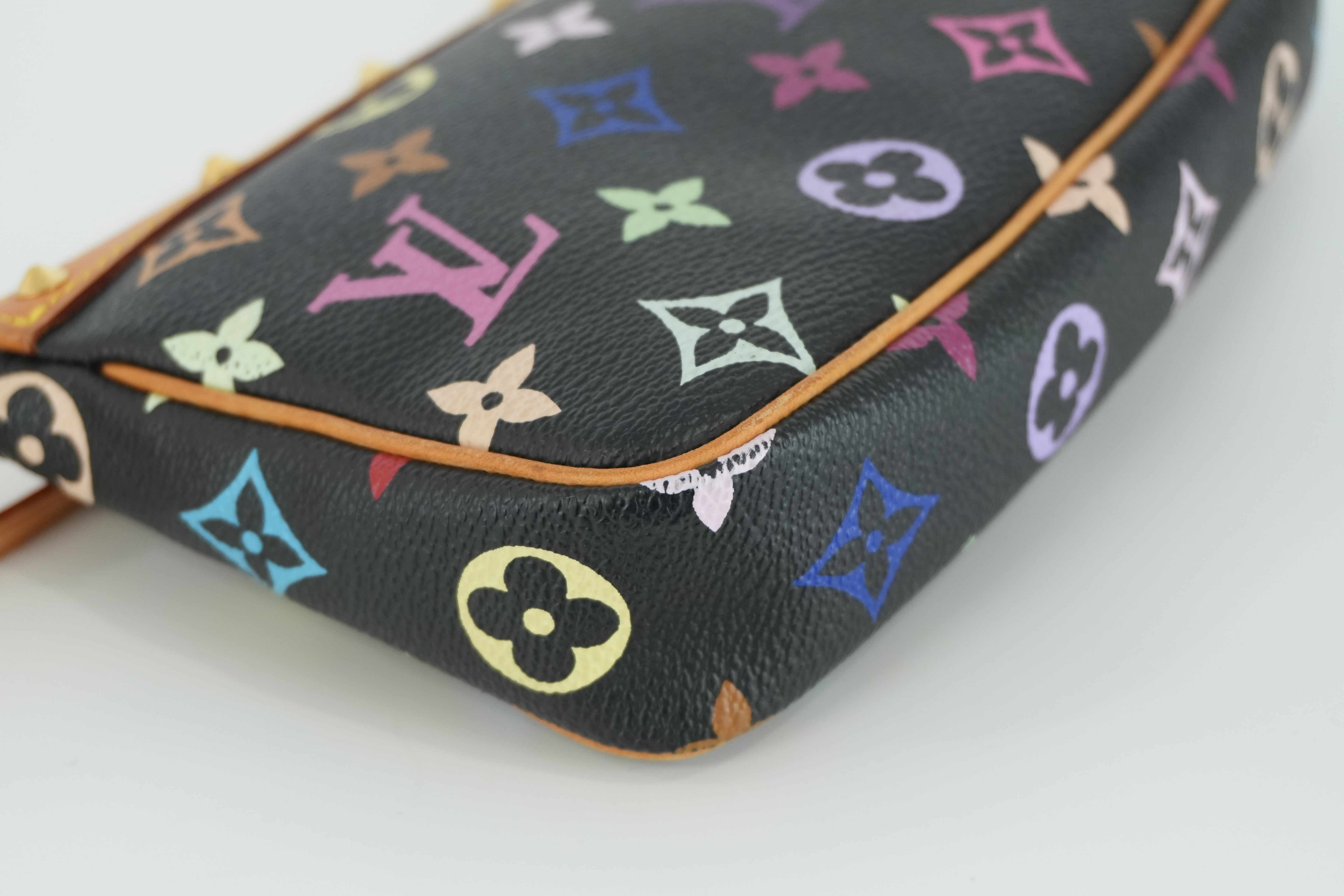 Louis Vuitton Multicolor Pochette Accessories Used