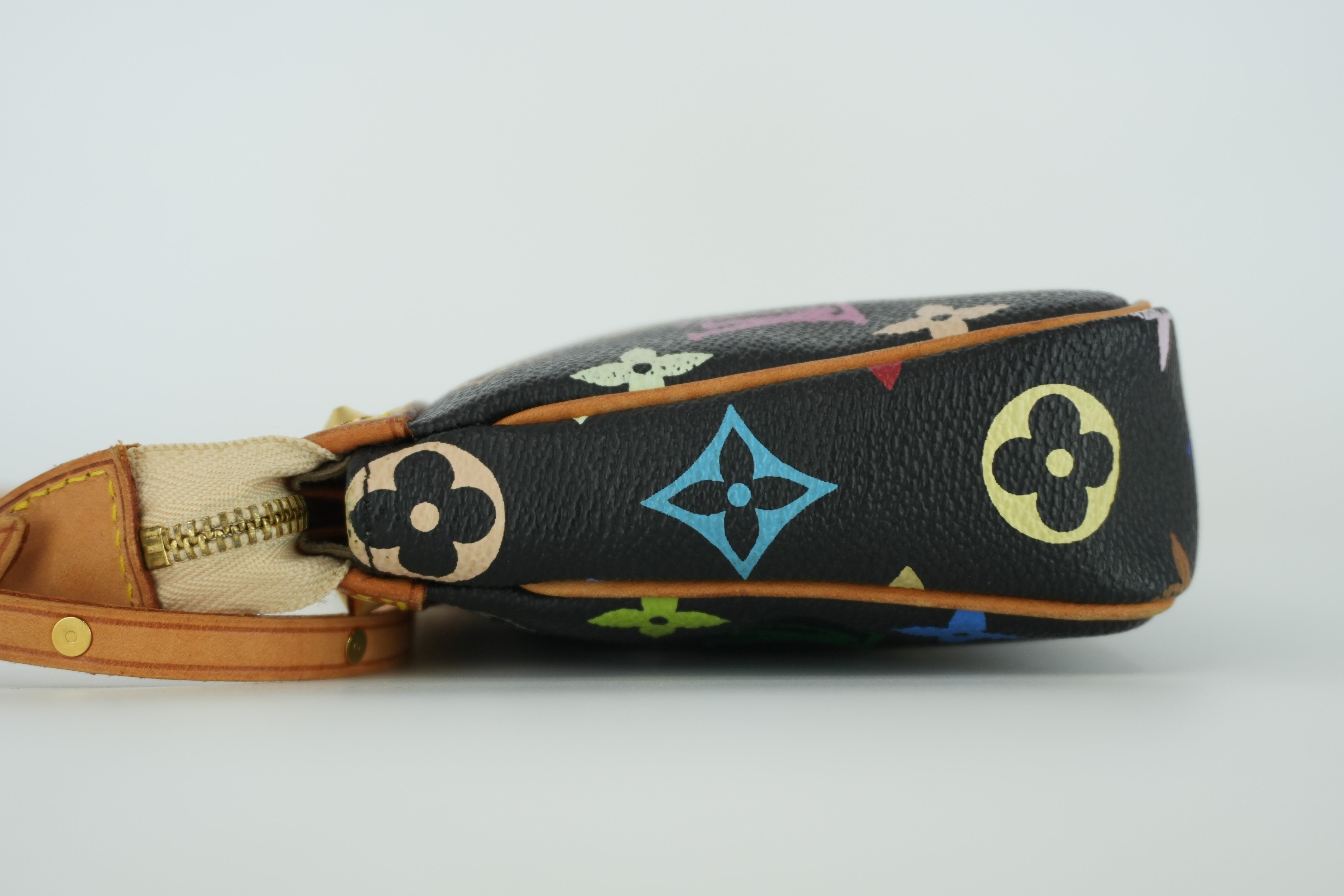 Louis Vuitton Multicolor Pochette Accessories Used