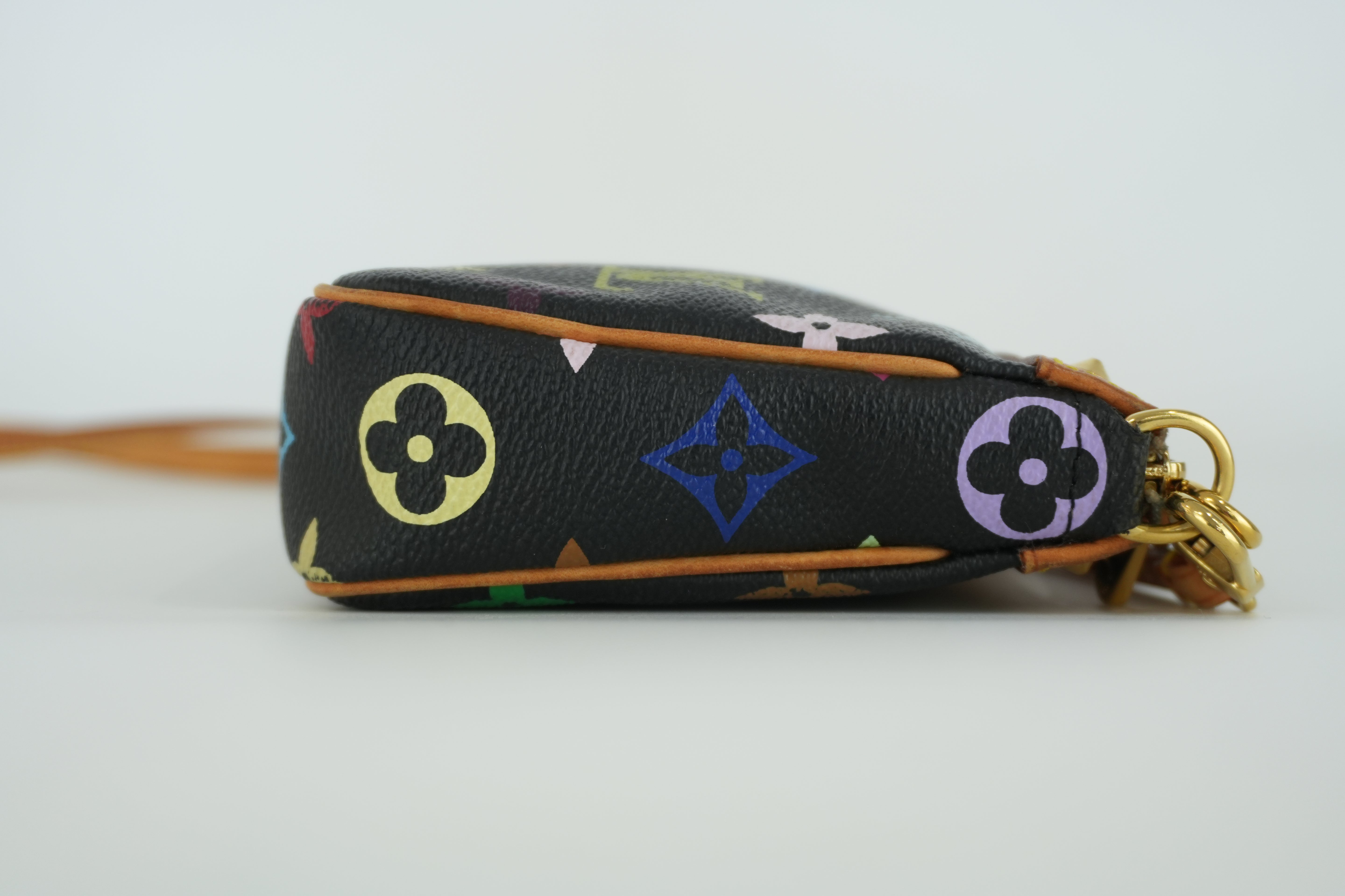 Louis Vuitton Multicolor Pochette Accessories Used