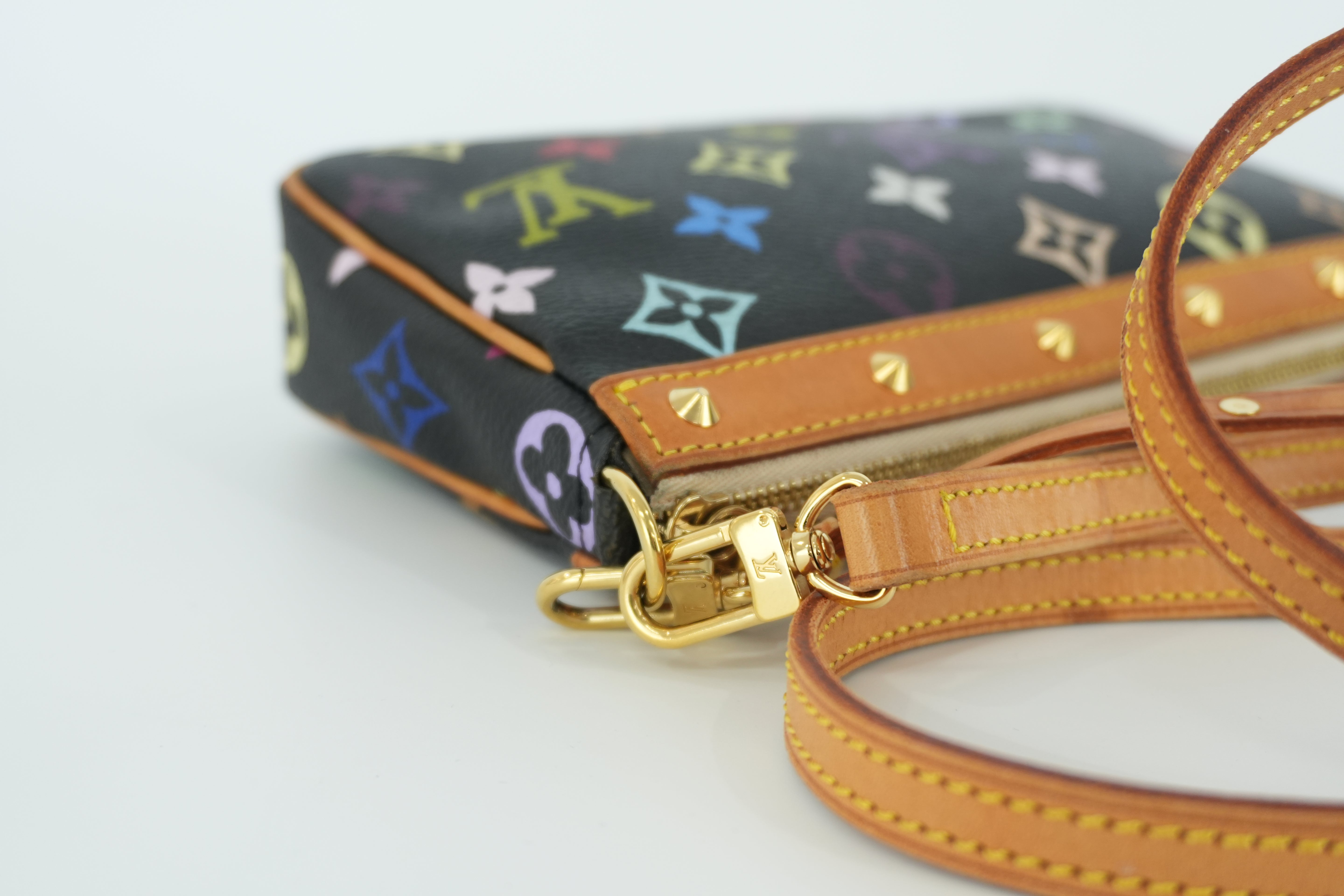 Louis Vuitton Multicolor Pochette Accessories Used