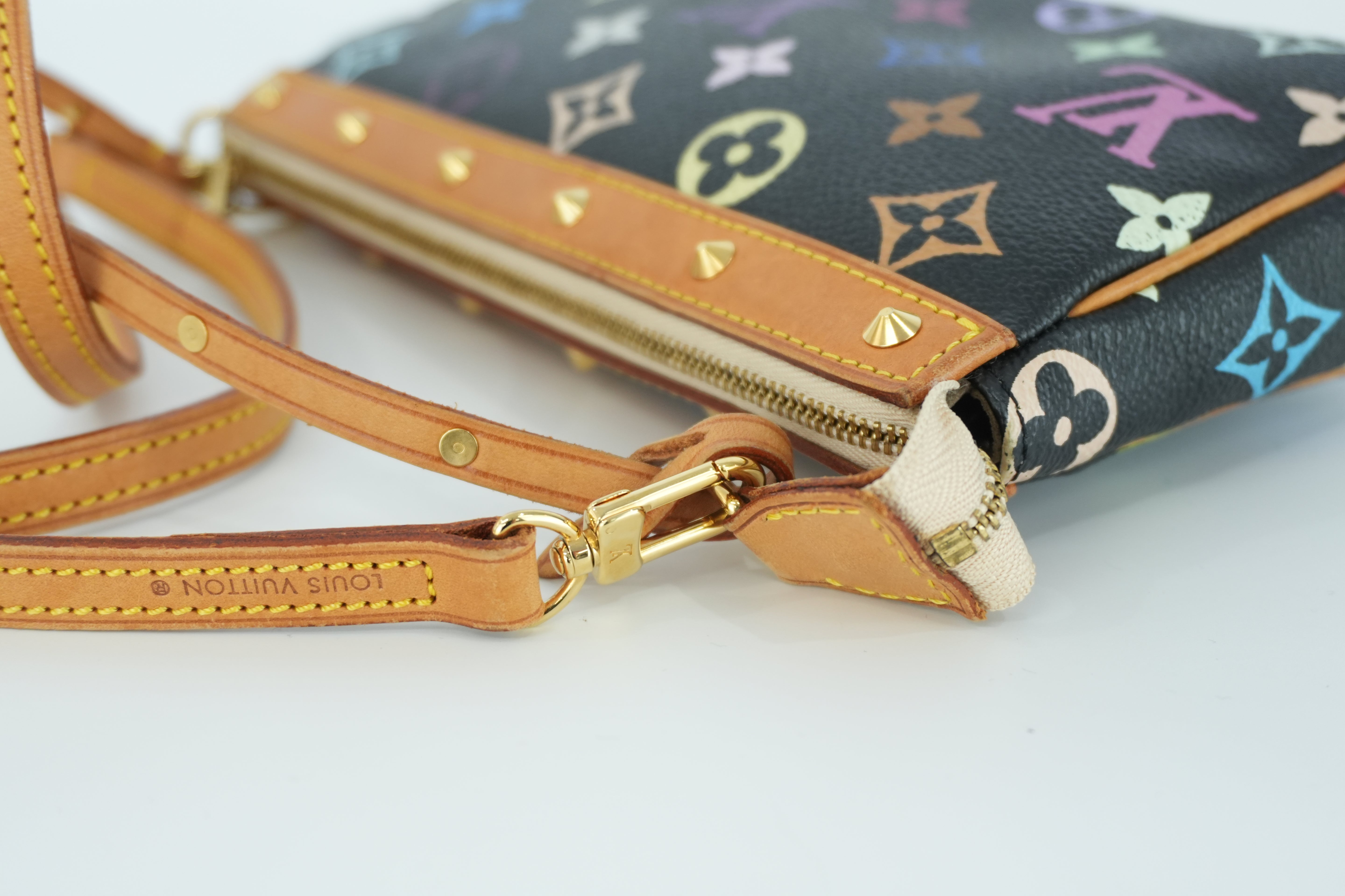 Louis Vuitton Multicolor Pochette Accessories Used