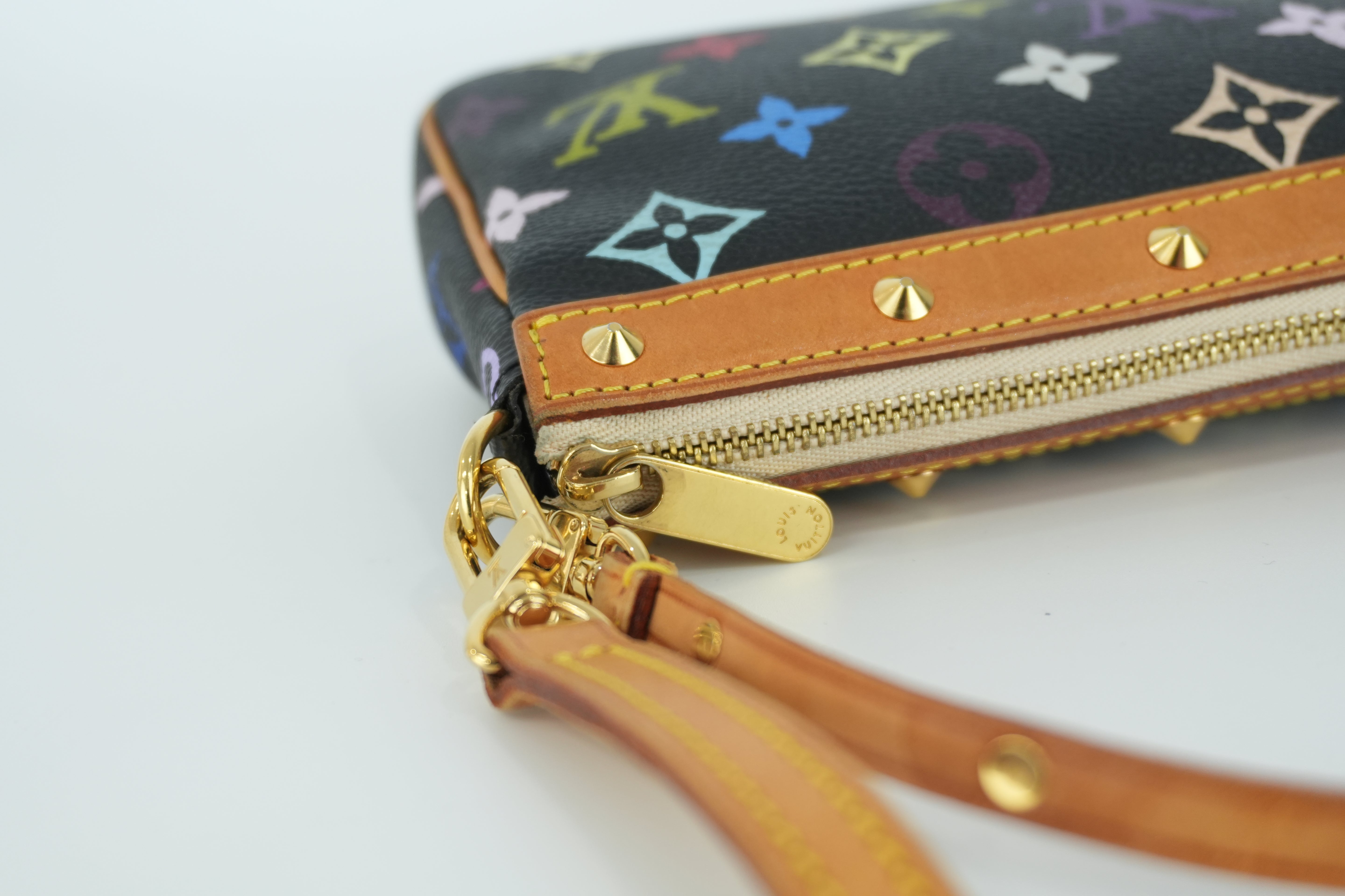 Louis Vuitton Multicolor Pochette Accessories Used