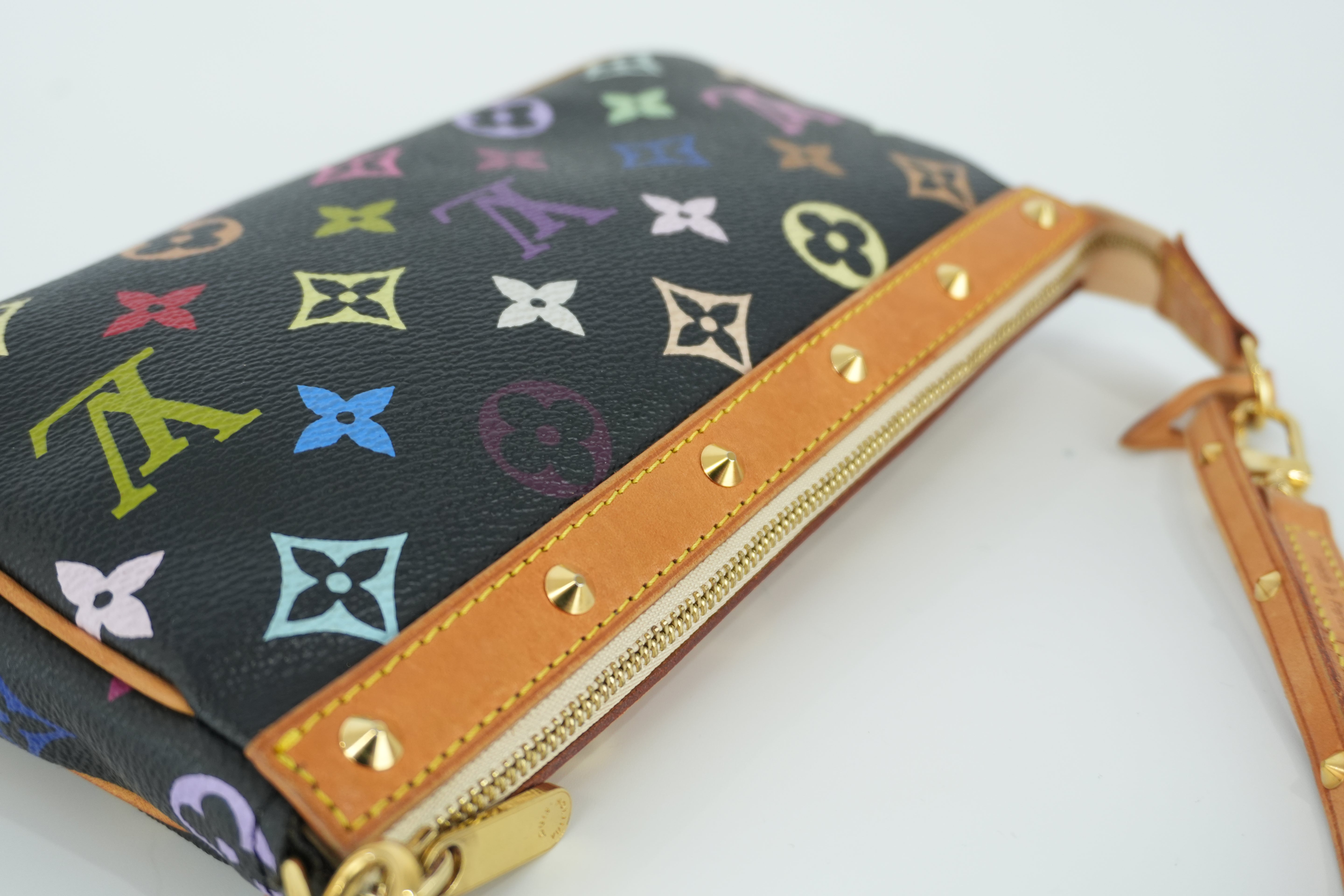 Louis Vuitton Multicolor Pochette Accessories Used