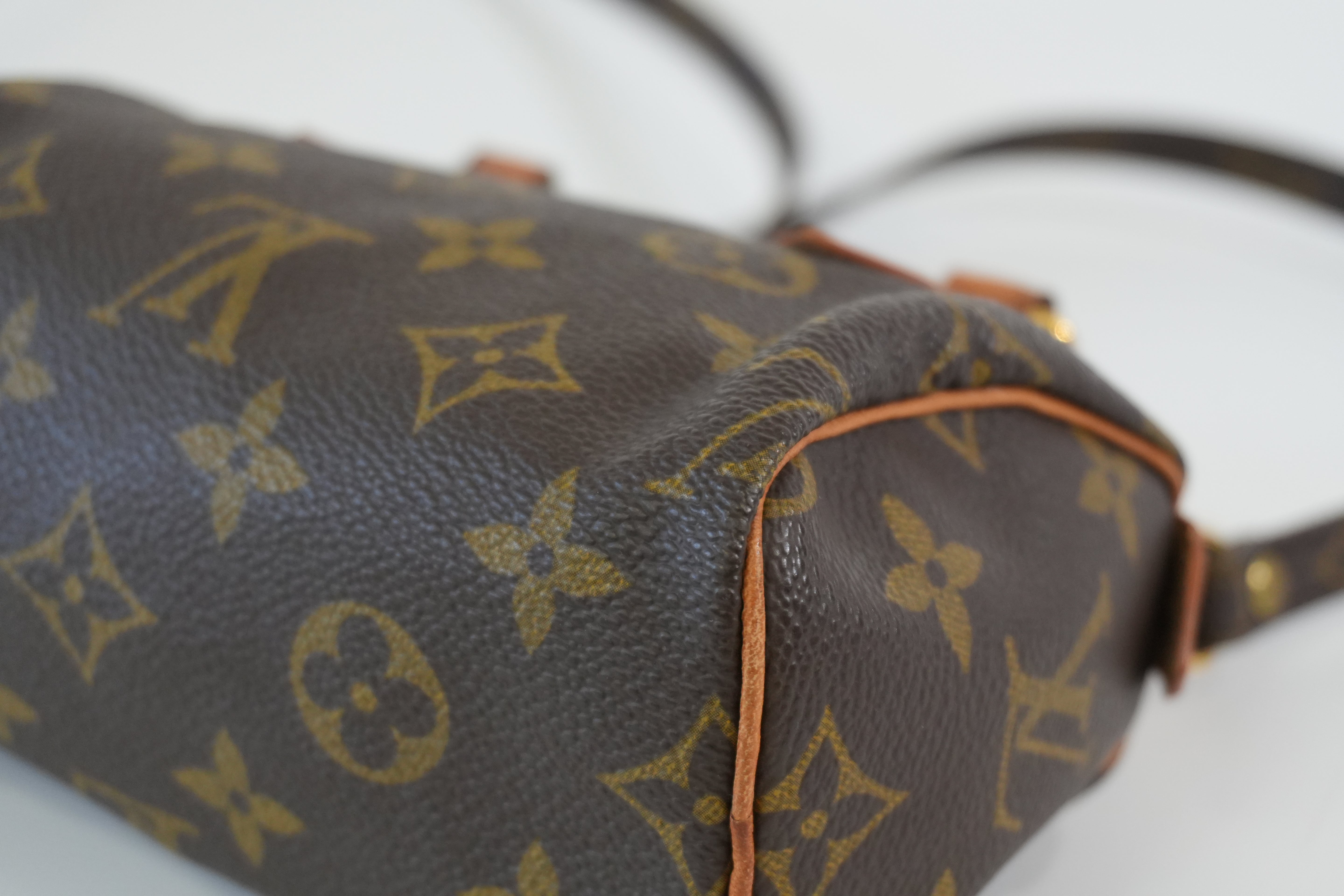 Pre-owned Louis Vuitton Monogram Mini Speedy Handbag