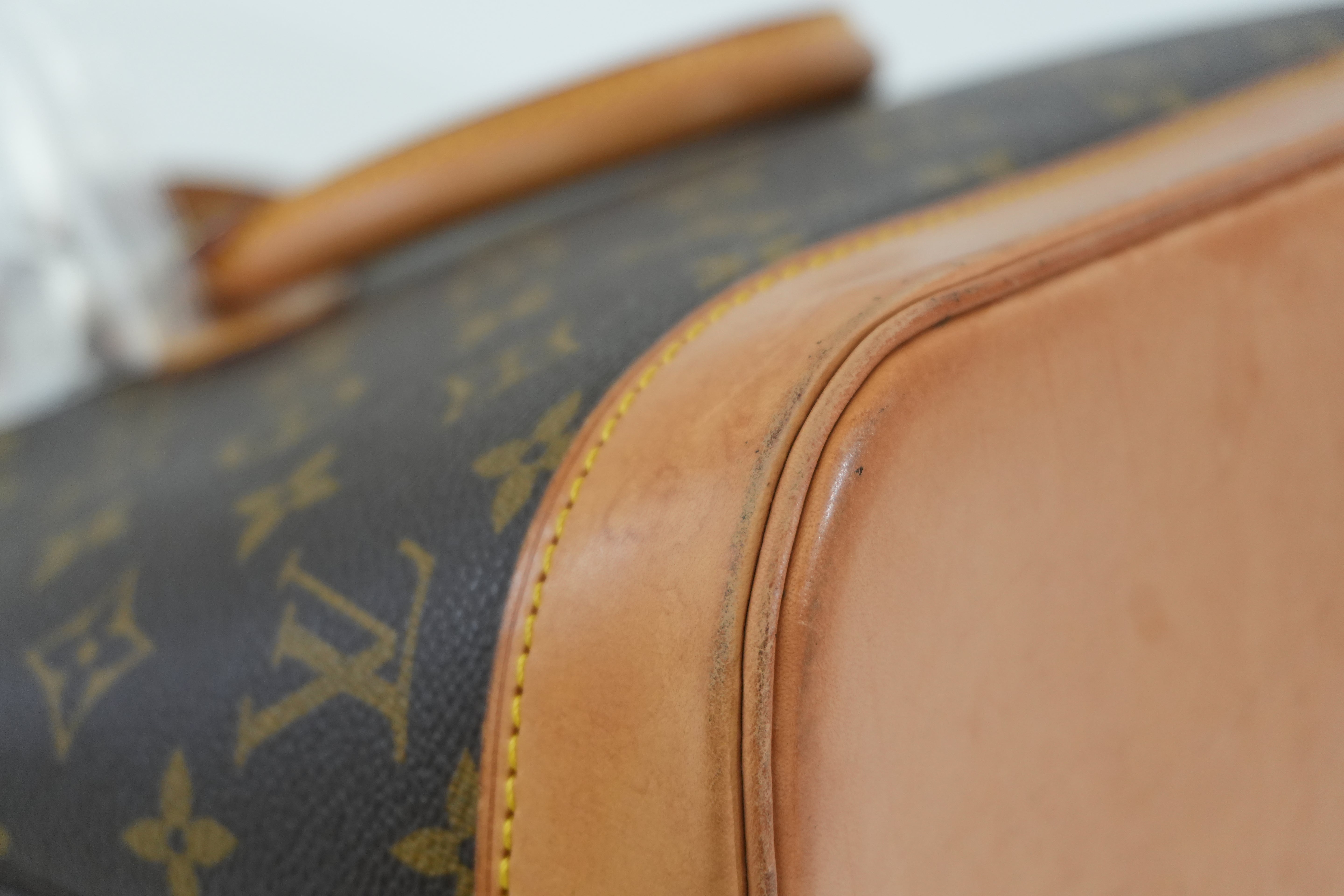 Pre-owned Louis Vuitton Monogram Alma PM Handbag