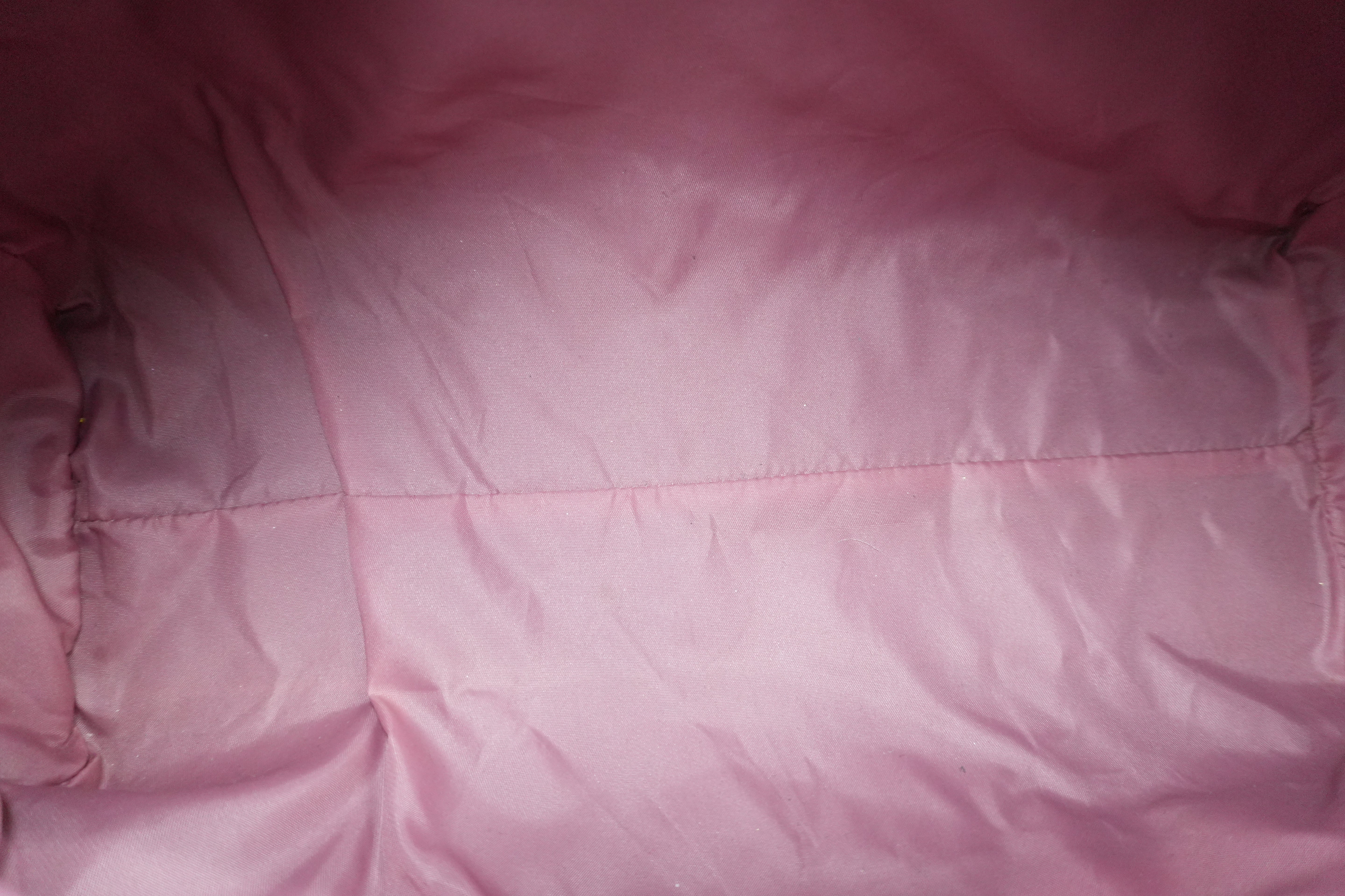 Pre-owned Dior Oblique Handbag Pink