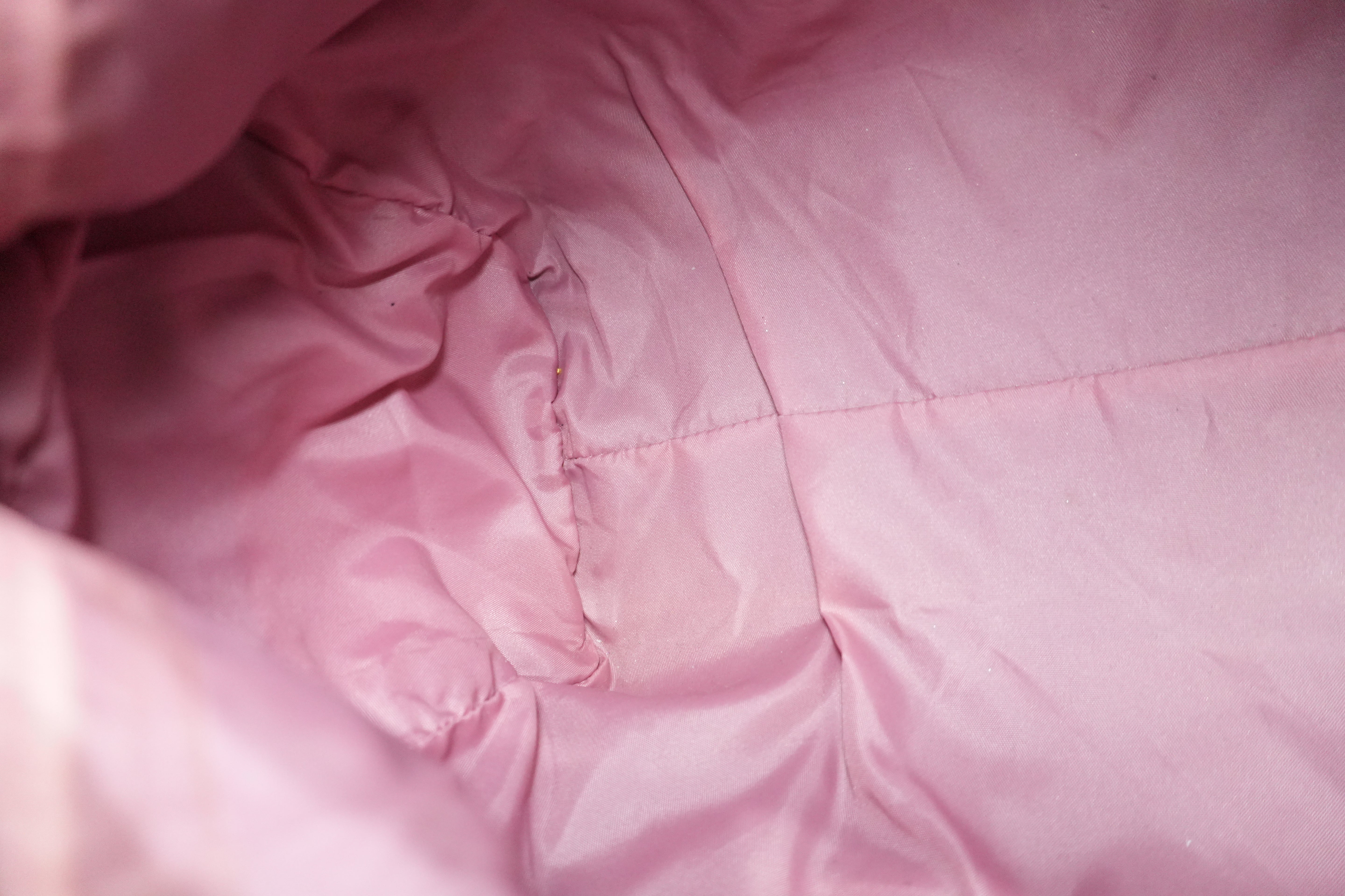 Pre-owned Dior Oblique Handbag Pink