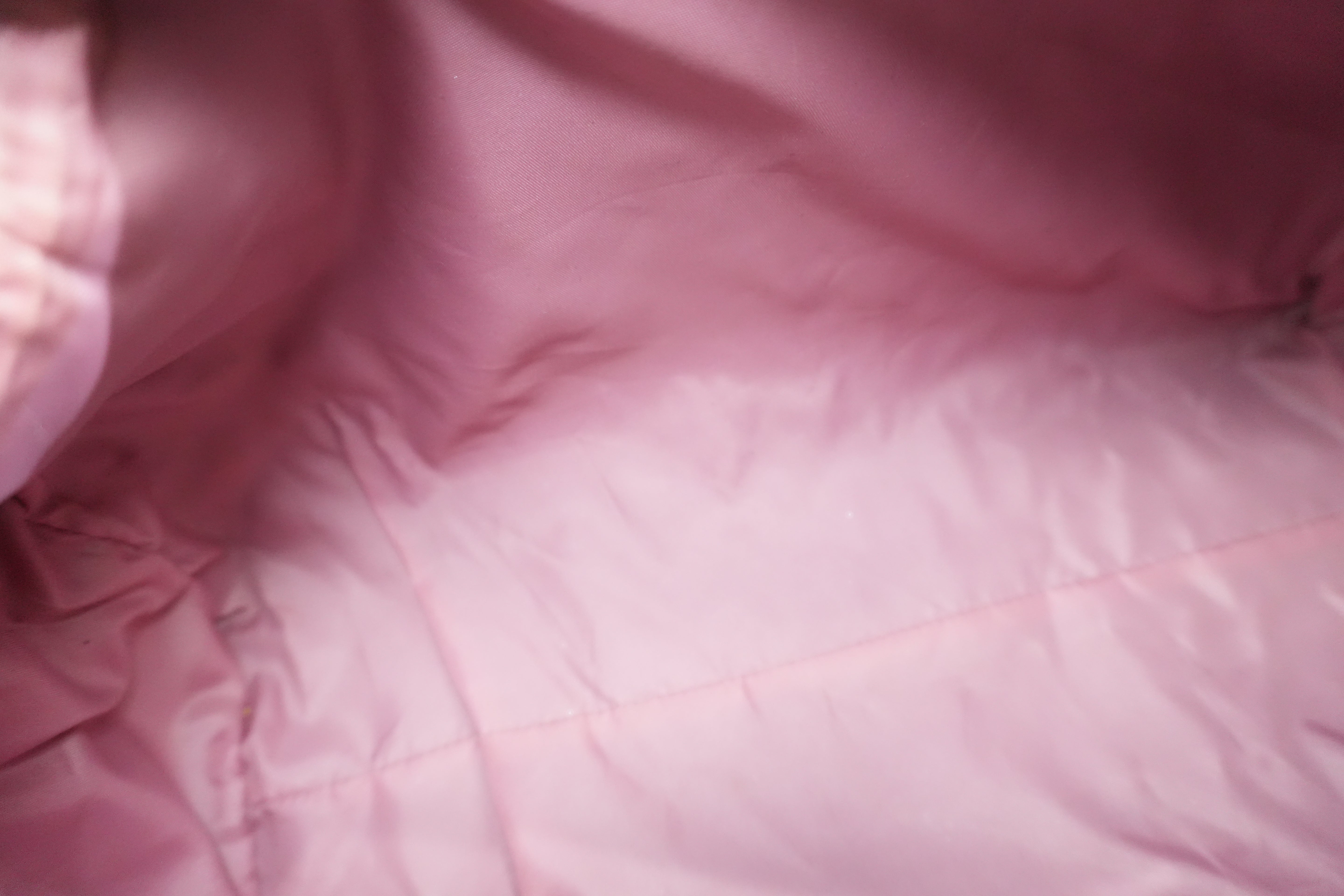 Pre-owned Dior Oblique Handbag Pink