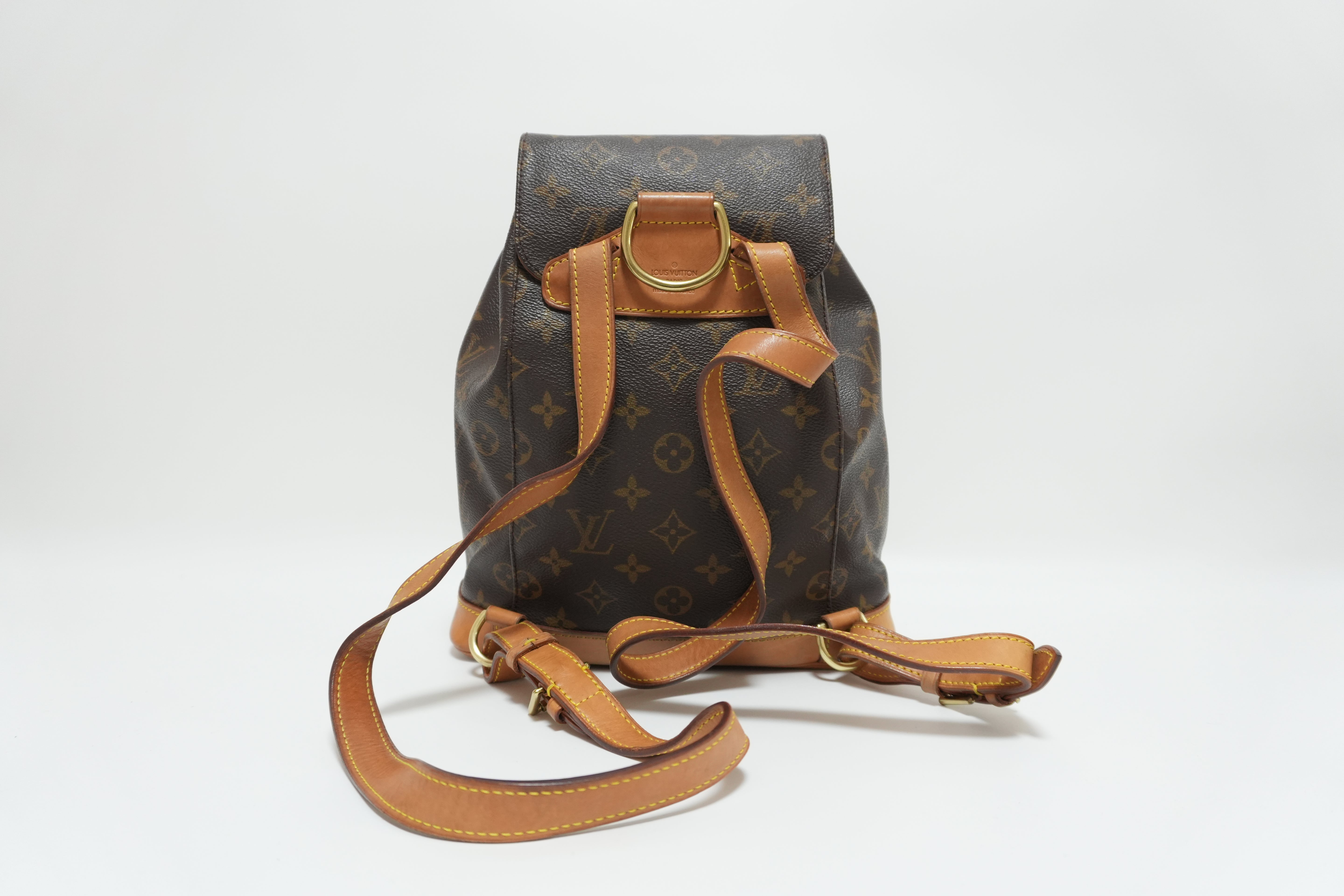 Louis Vuitton Montsouris MM Backpack Used