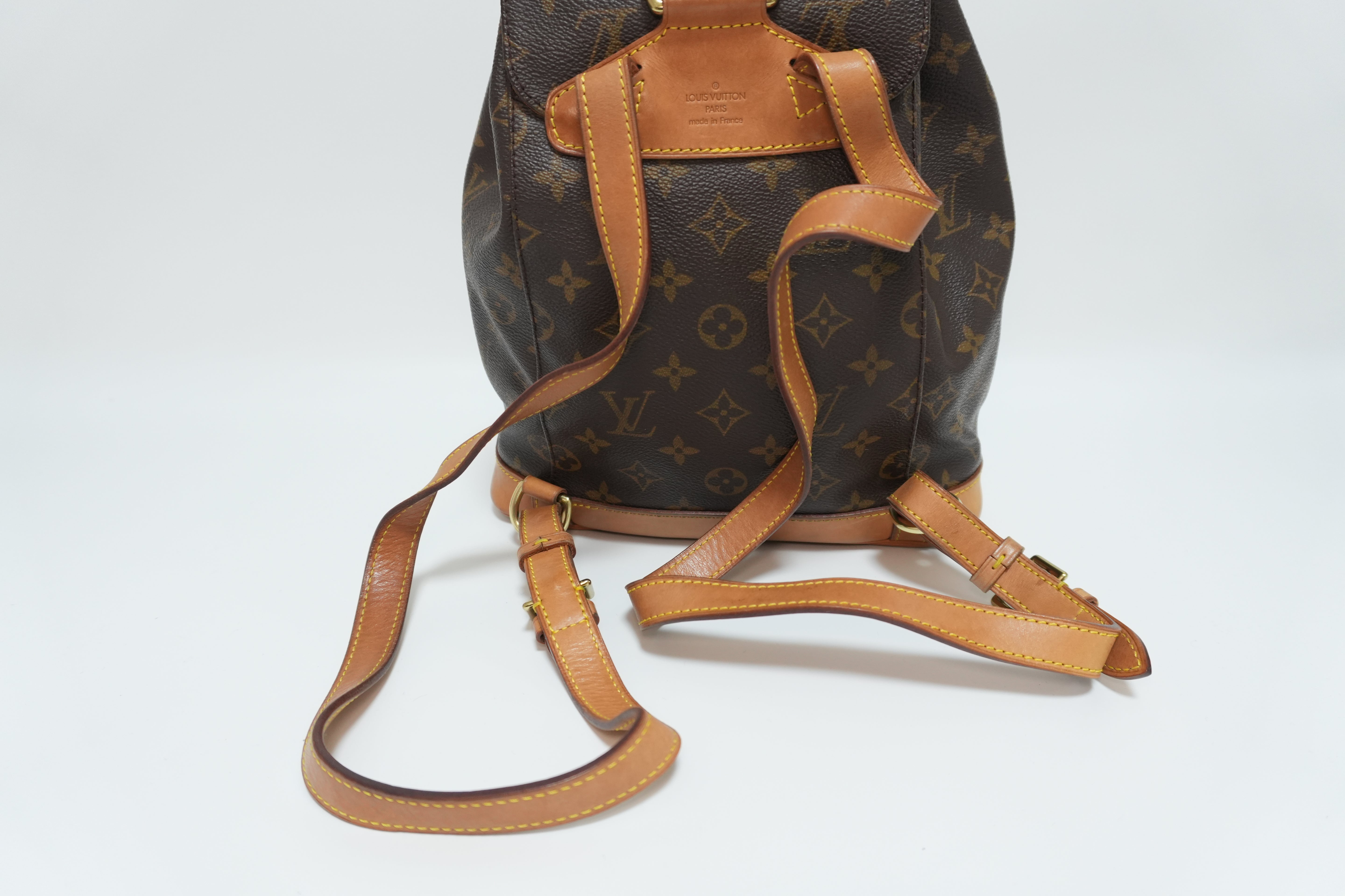 Louis Vuitton Montsouris MM Backpack Used