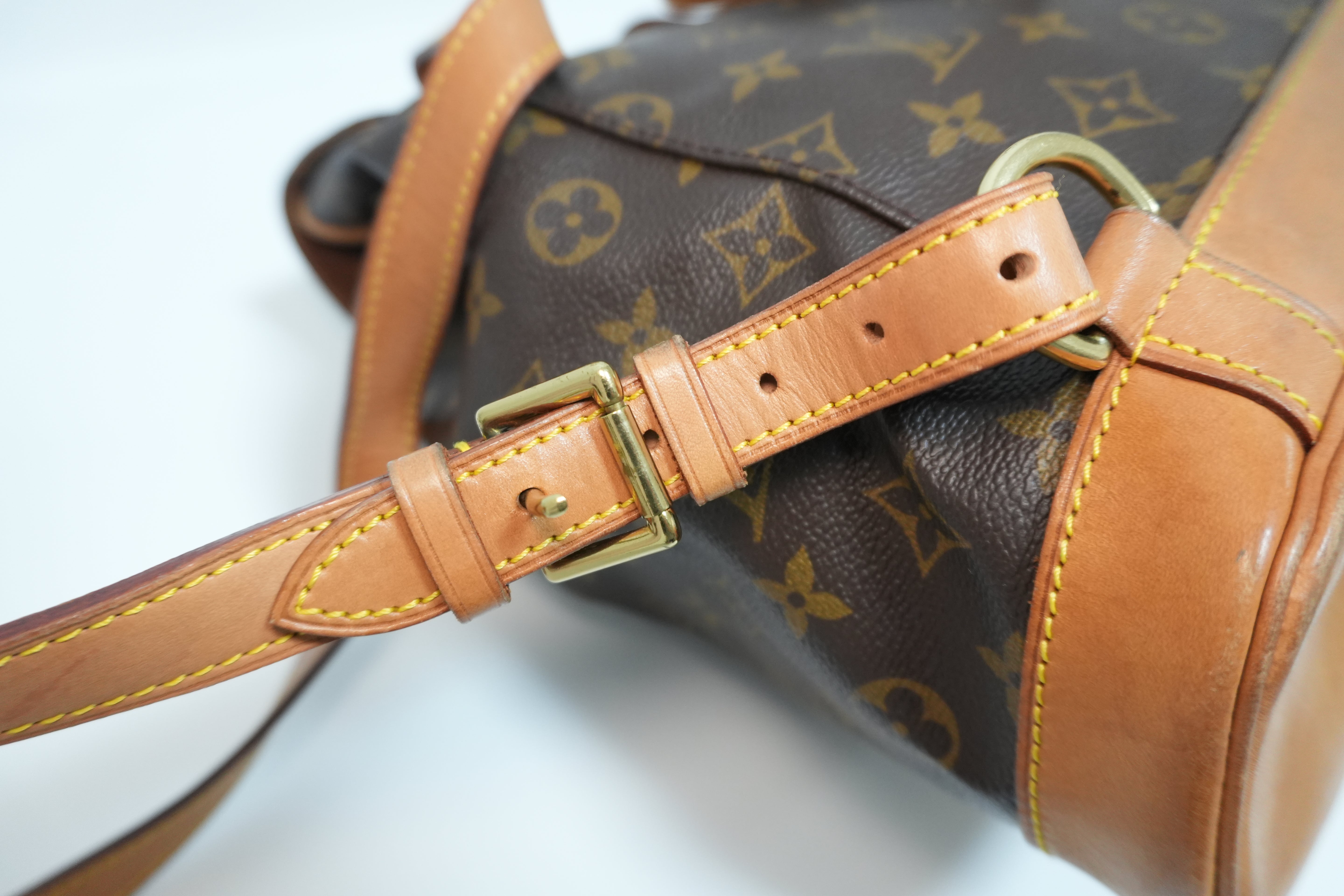 Louis Vuitton Montsouris MM Backpack Used