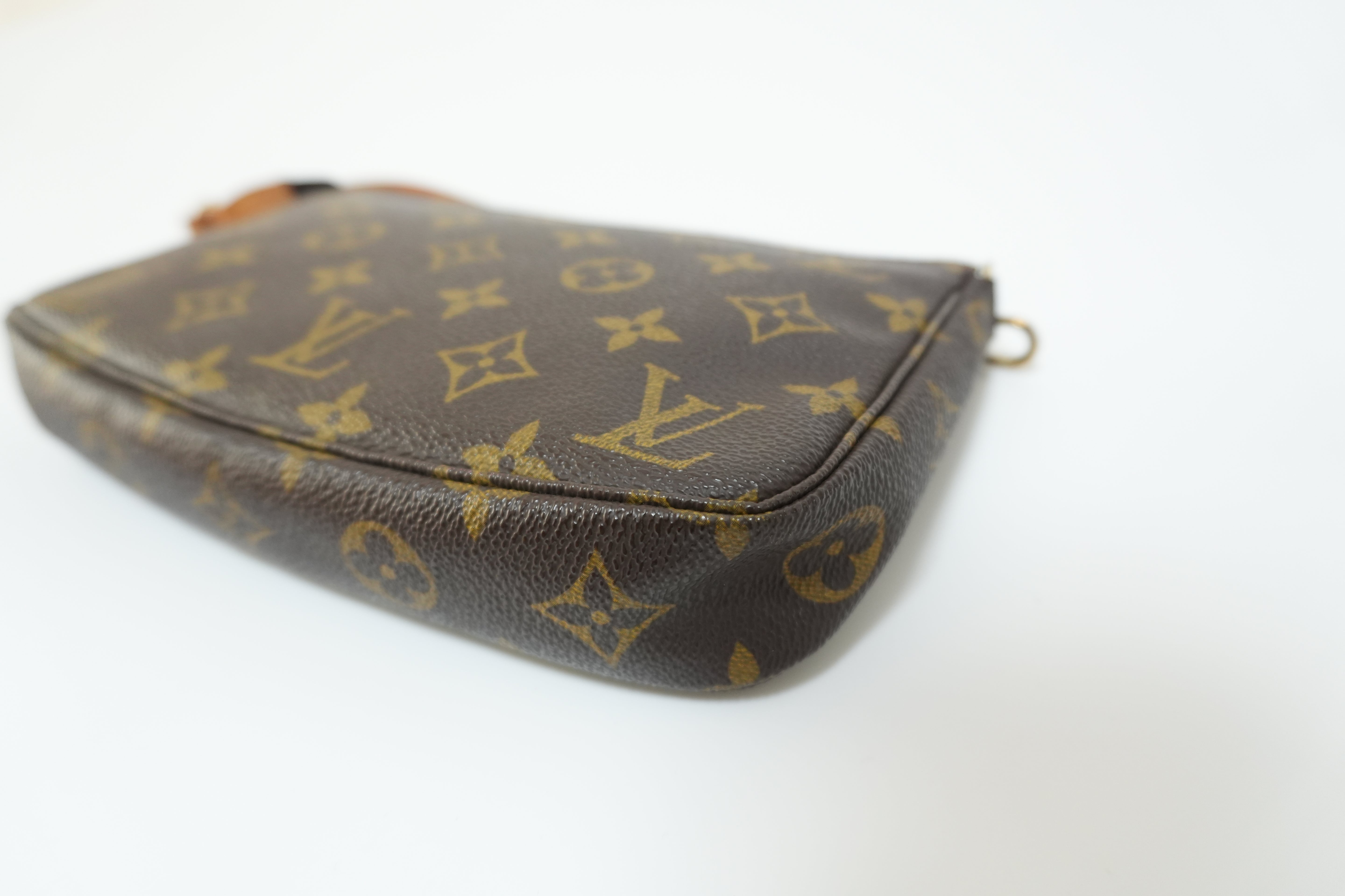 Louis Vuitton Pochette Accessories Used