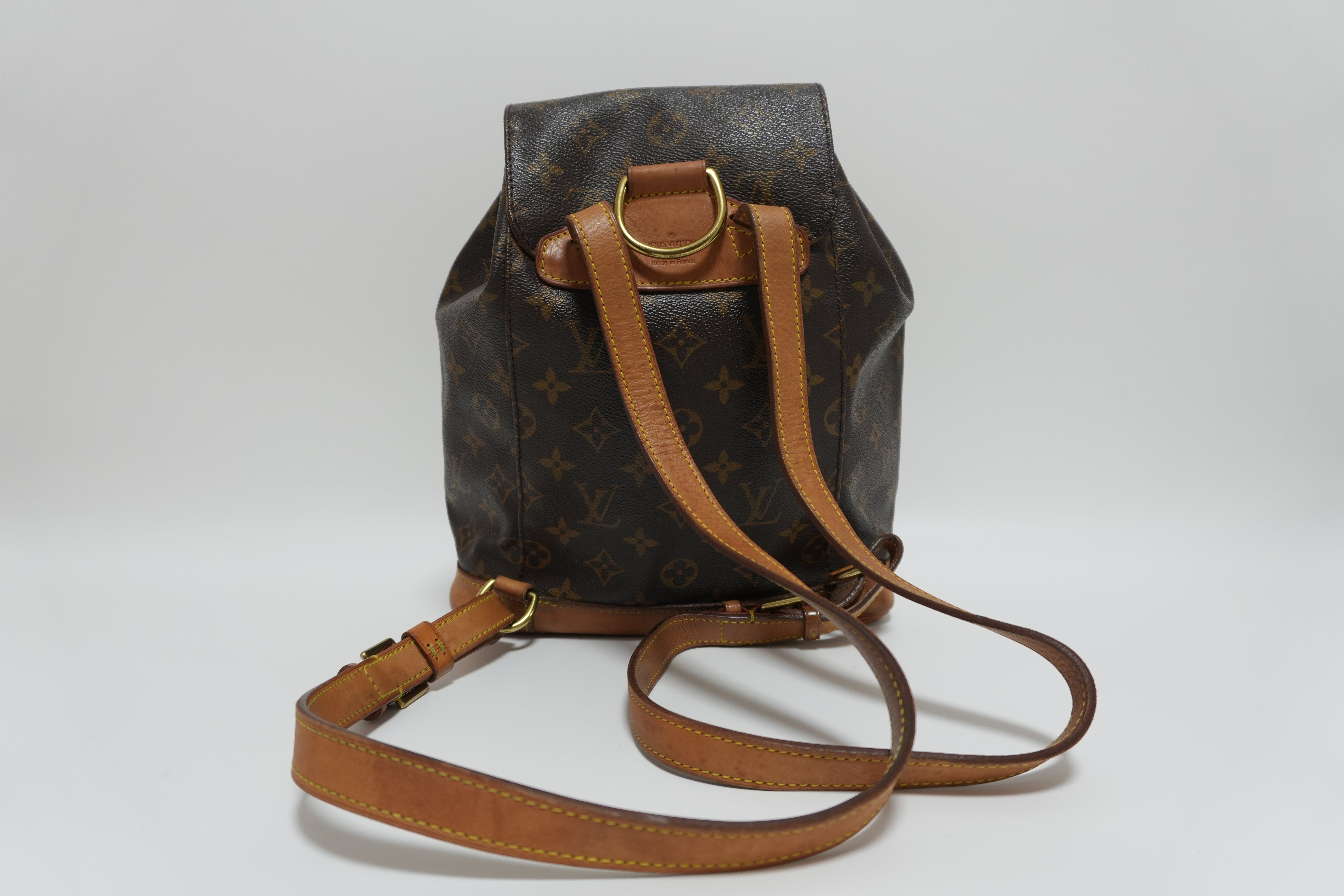 Louis Vuitton Montsouris MM Backpack Used