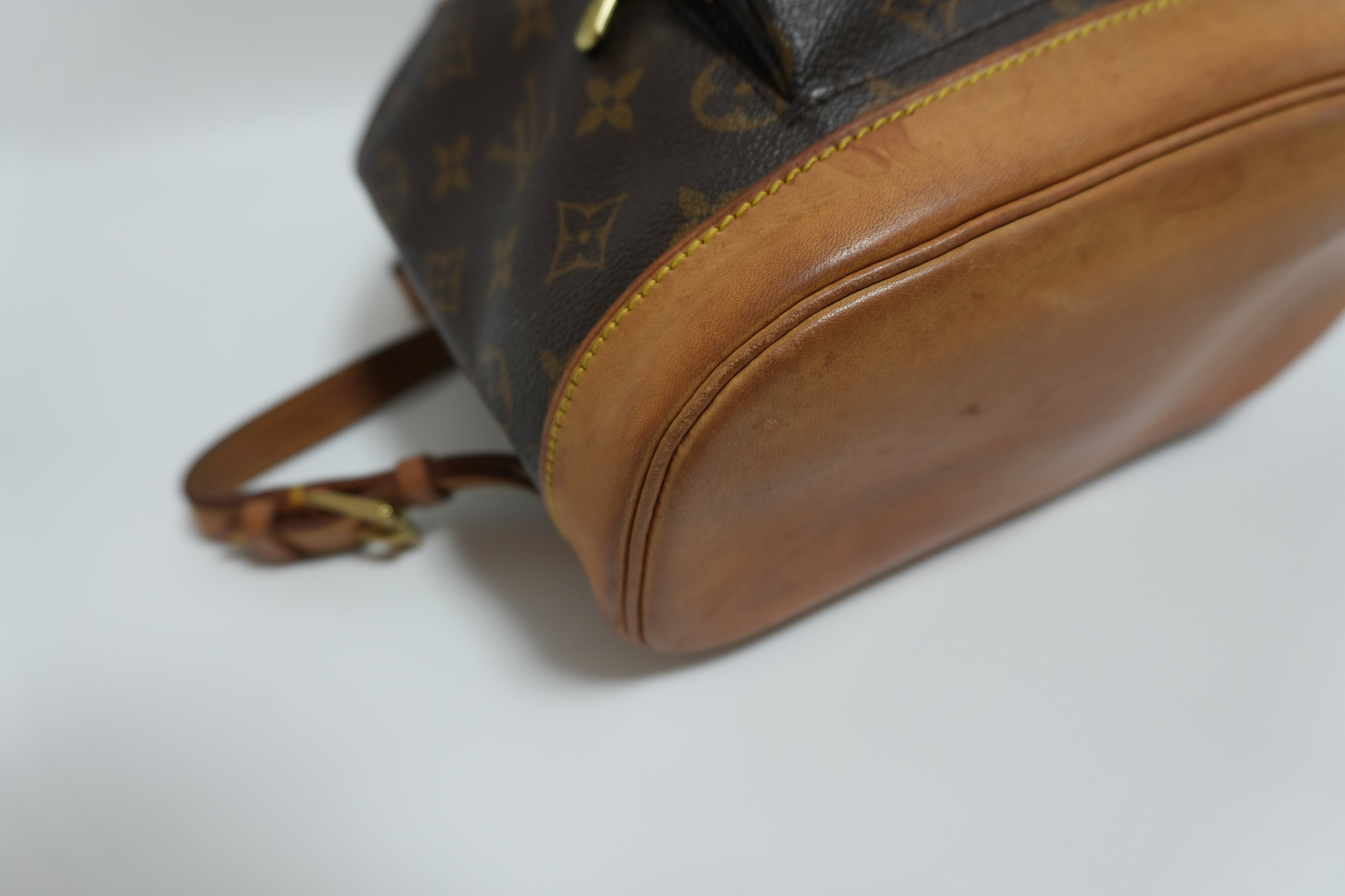 Louis Vuitton Montsouris MM Backpack Used