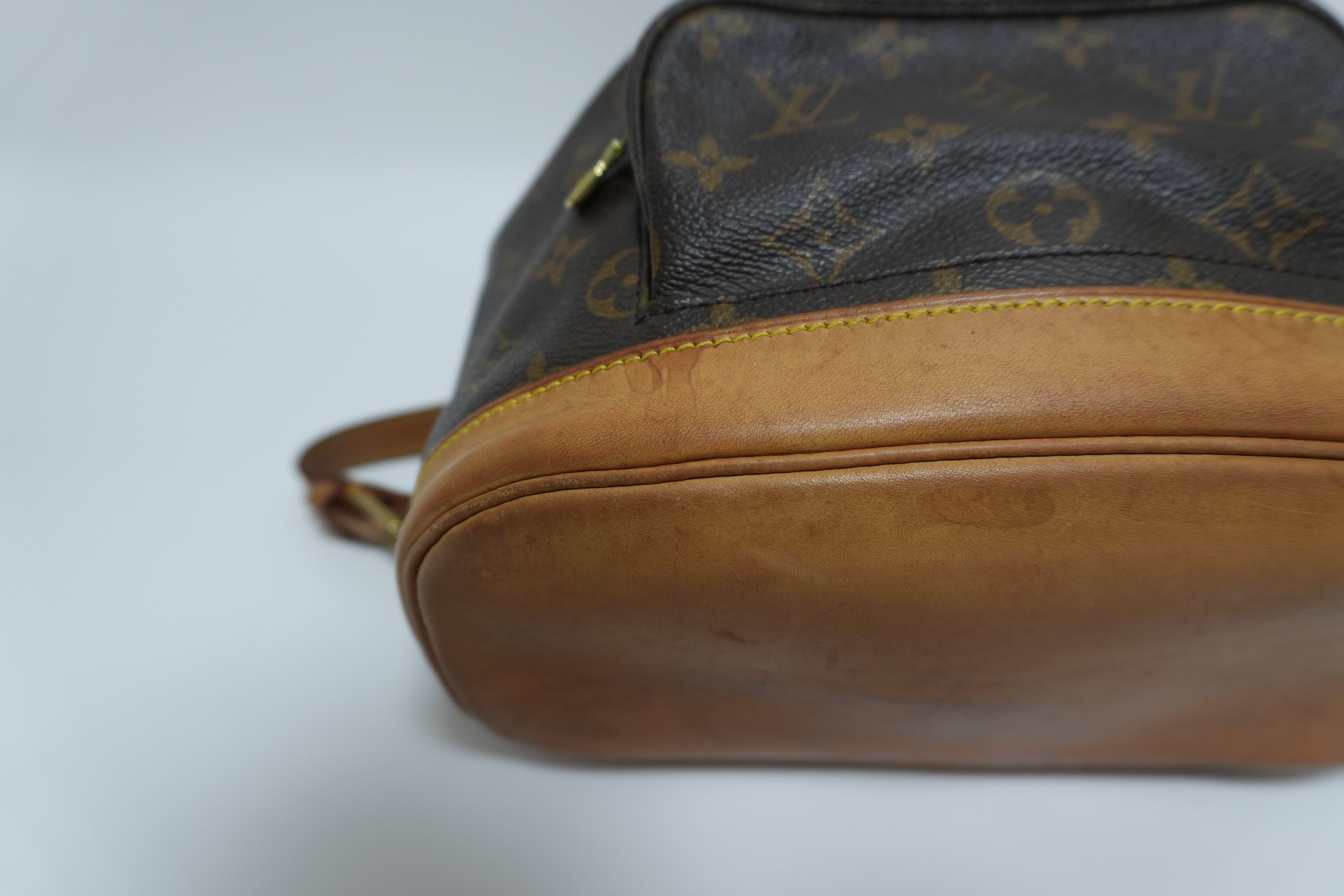 Louis Vuitton Montsouris MM Backpack Used