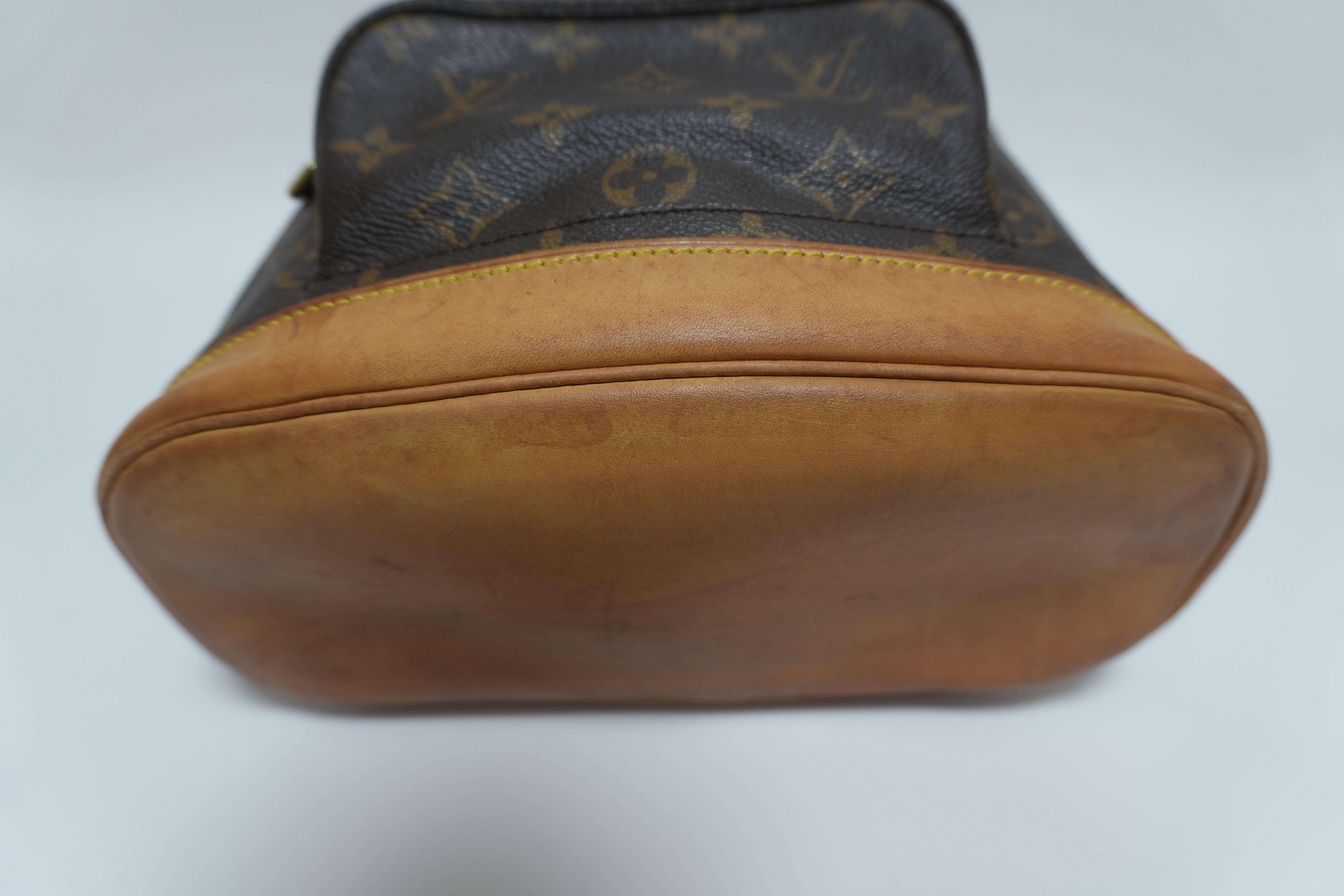 Louis Vuitton Montsouris MM Backpack Used