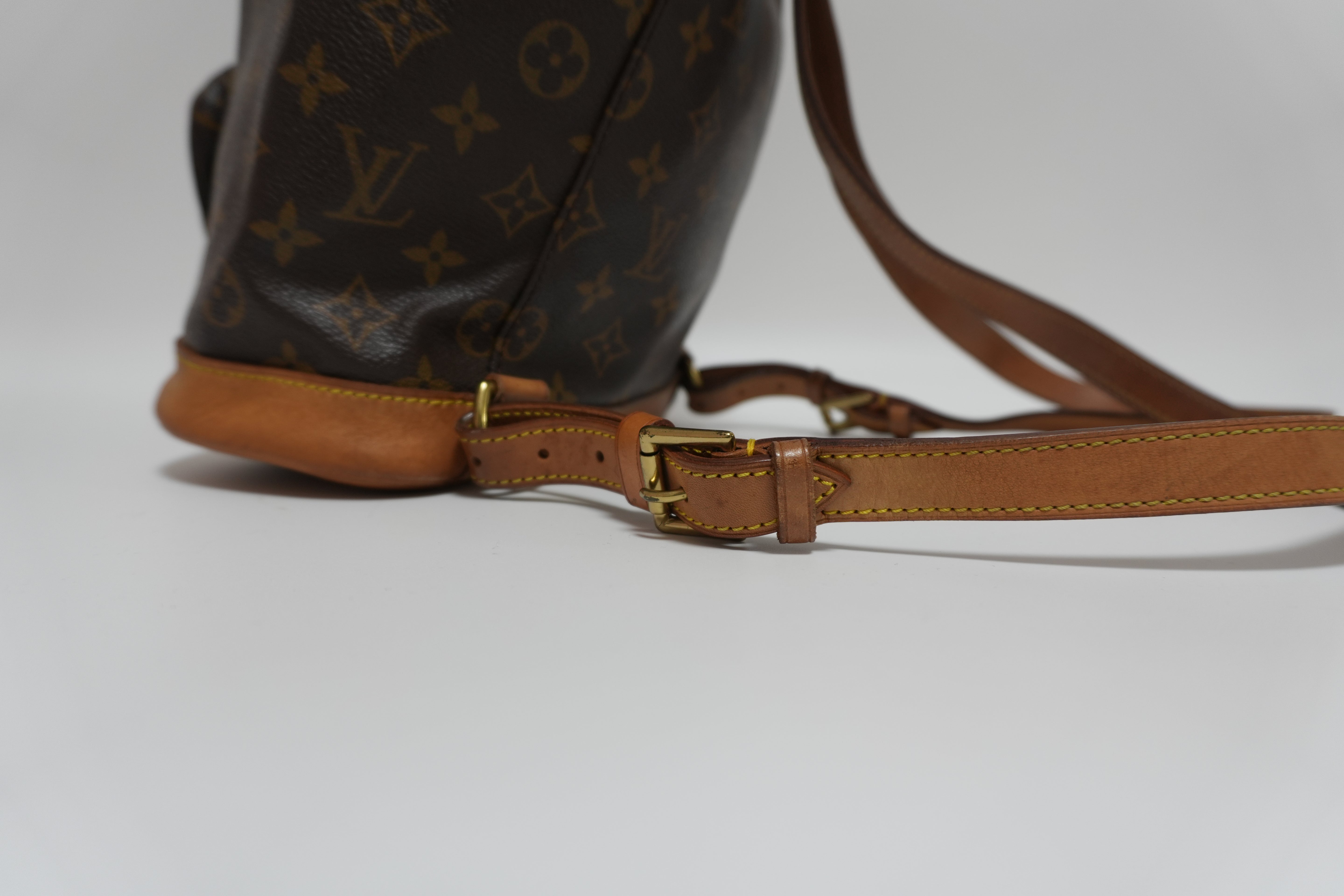 Louis Vuitton Montsouris MM Backpack Used