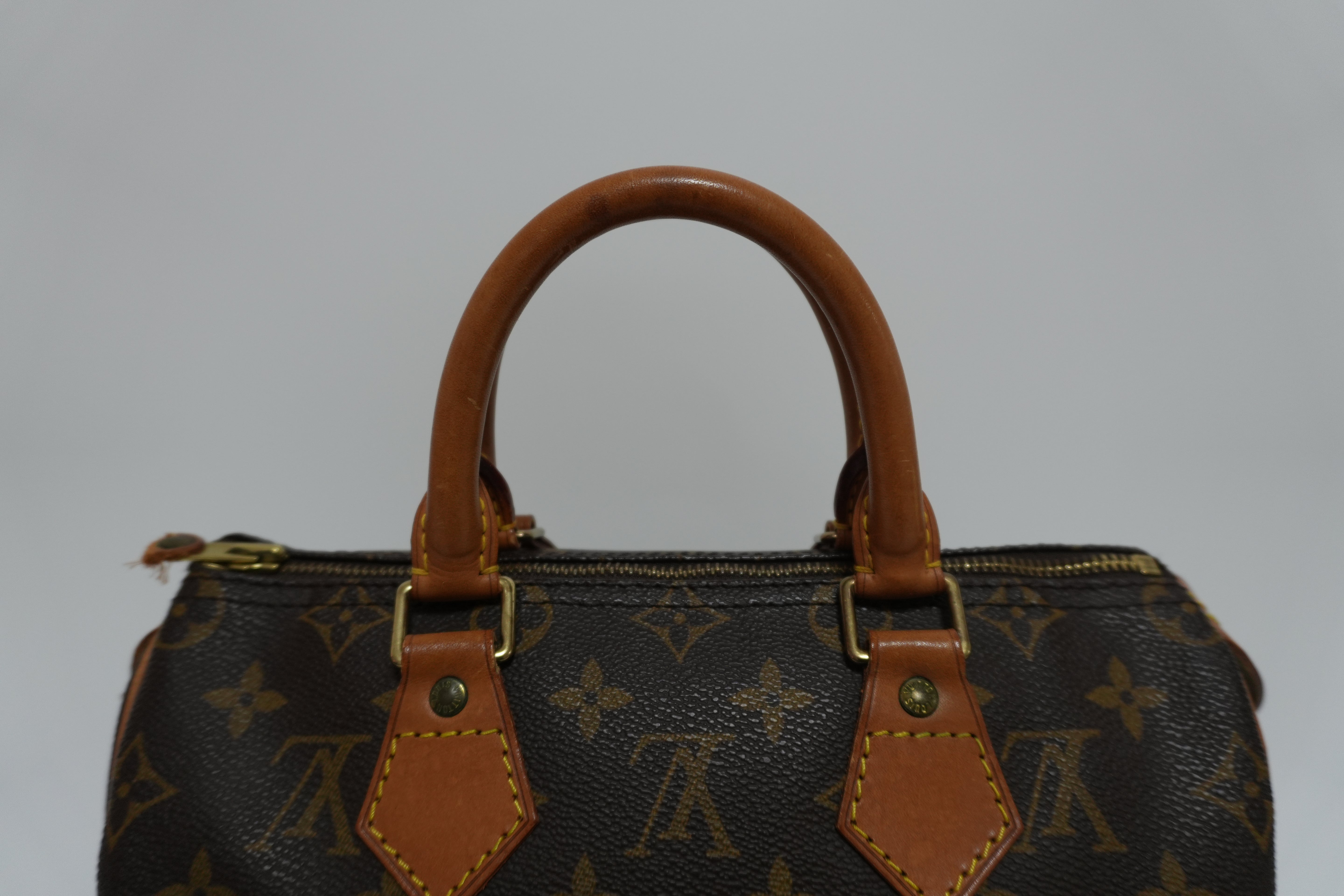 Louis Vuitton Monogram Speedy 25 Handbag Used