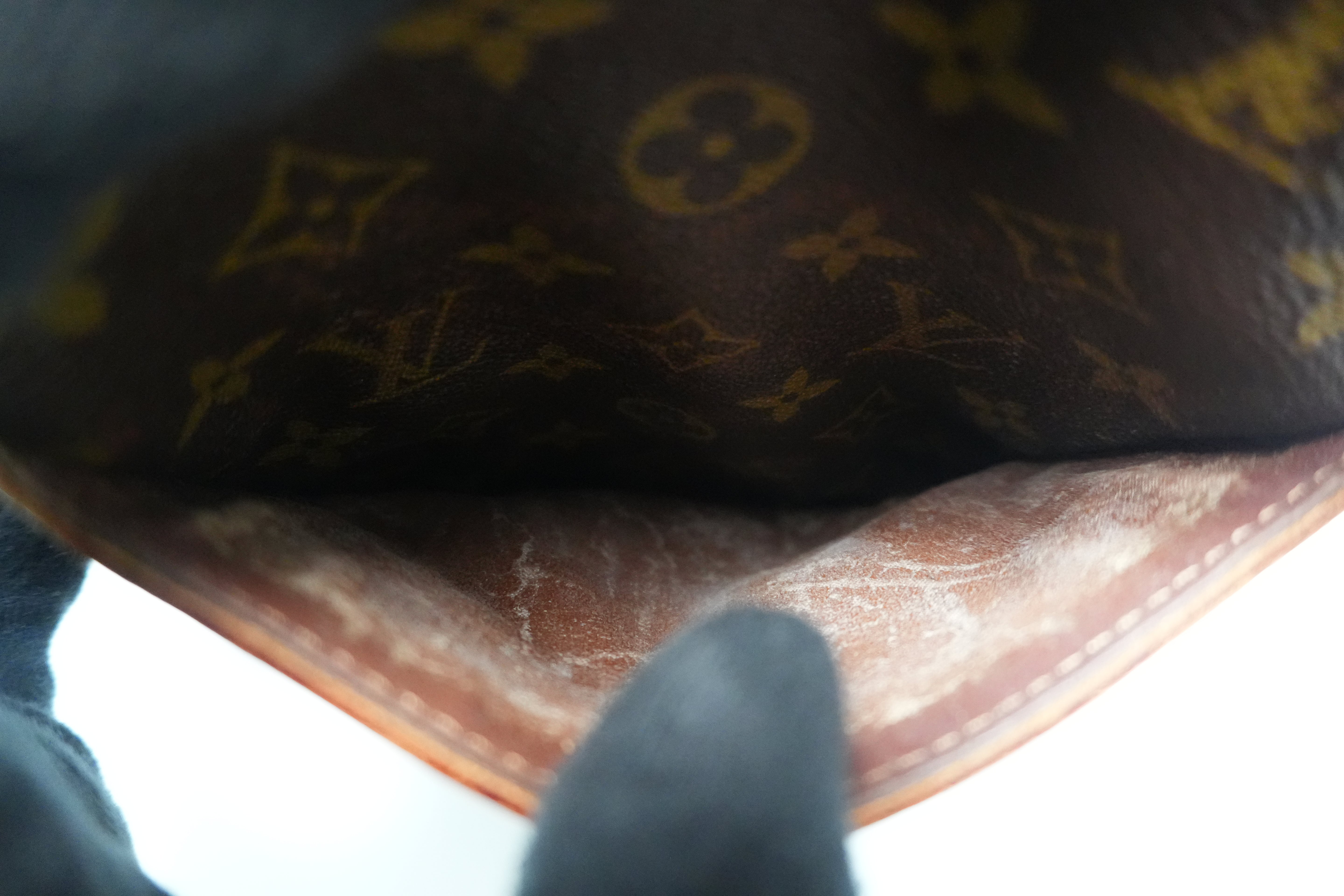 Louis Vuitton Monogram Danube Crossbody Used