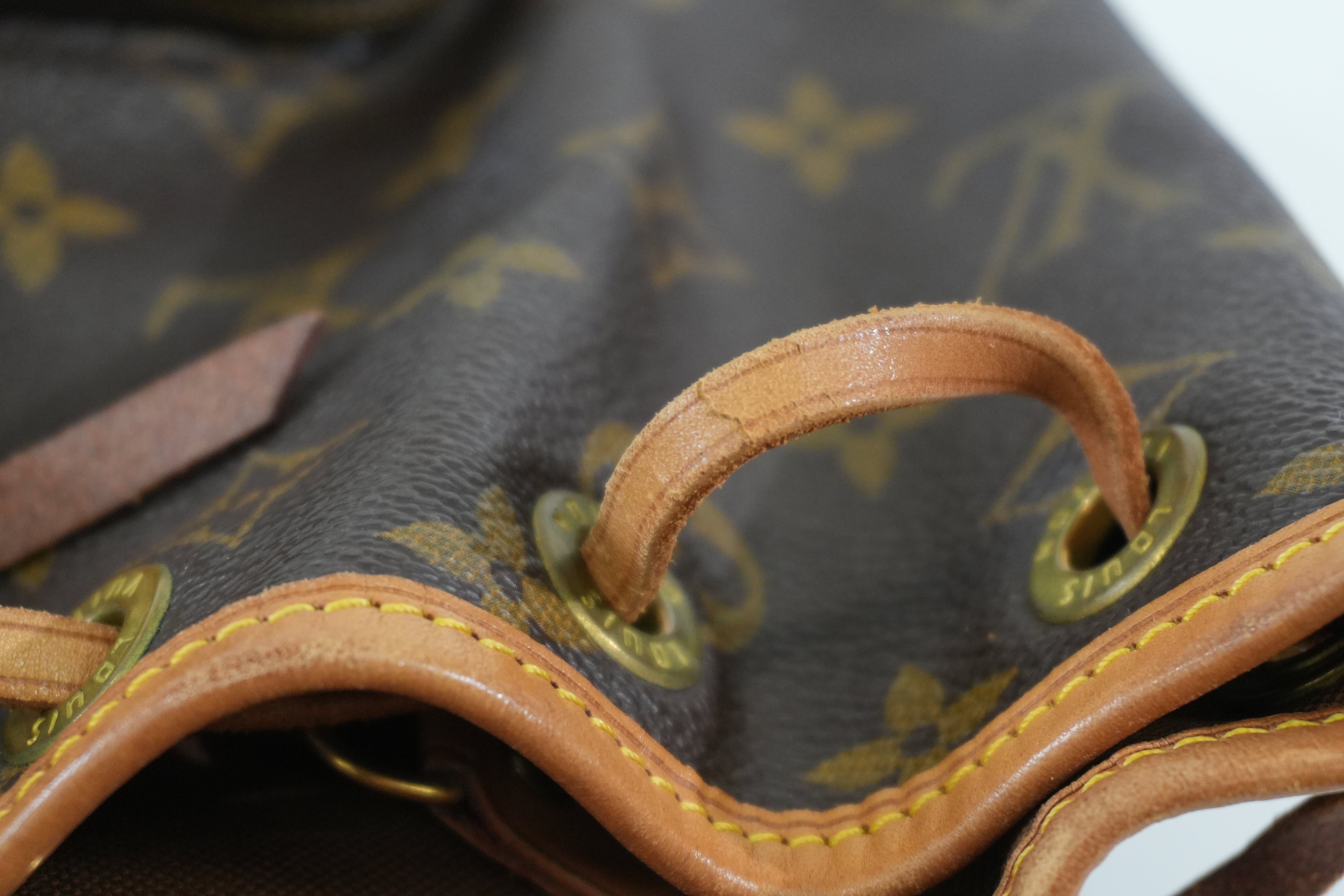 Pre-owned Louis Vuitton Monogram Montsouris MM Backpack